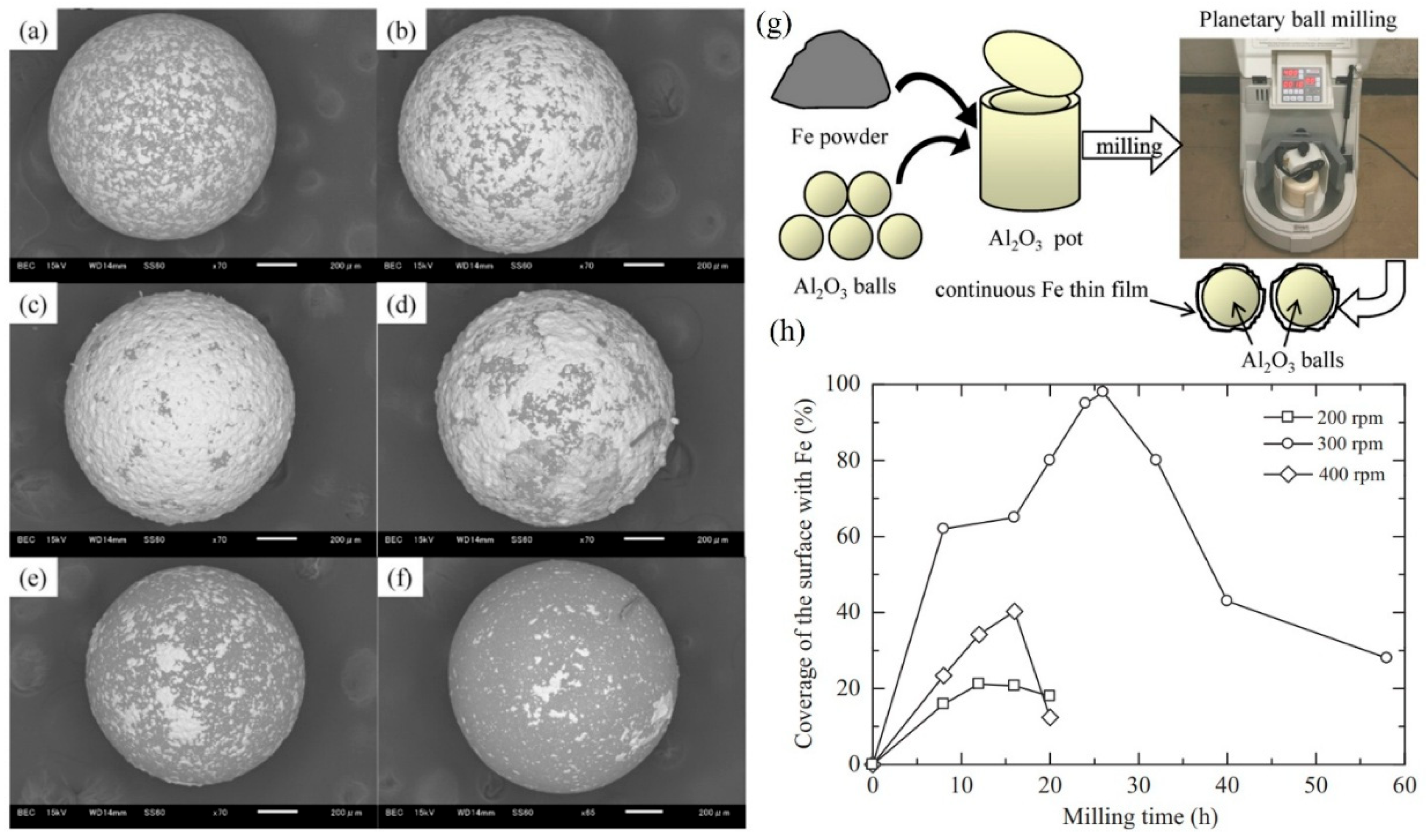 Coatings 16 00174 g018 Coatings 16 00174 g018