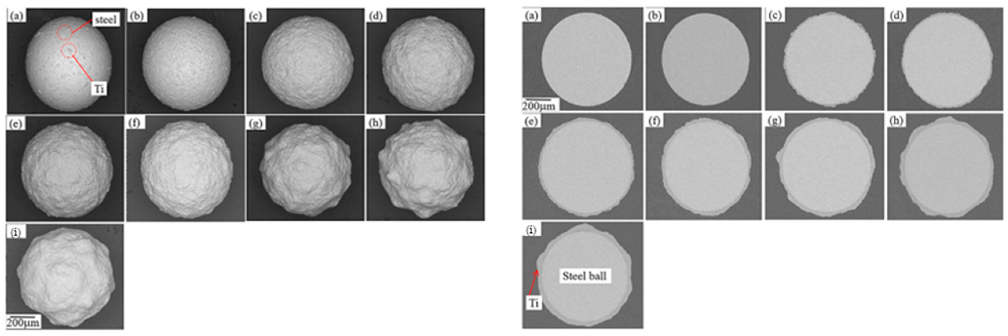 Coatings 16 00174 g023 Coatings 16 00174 g023