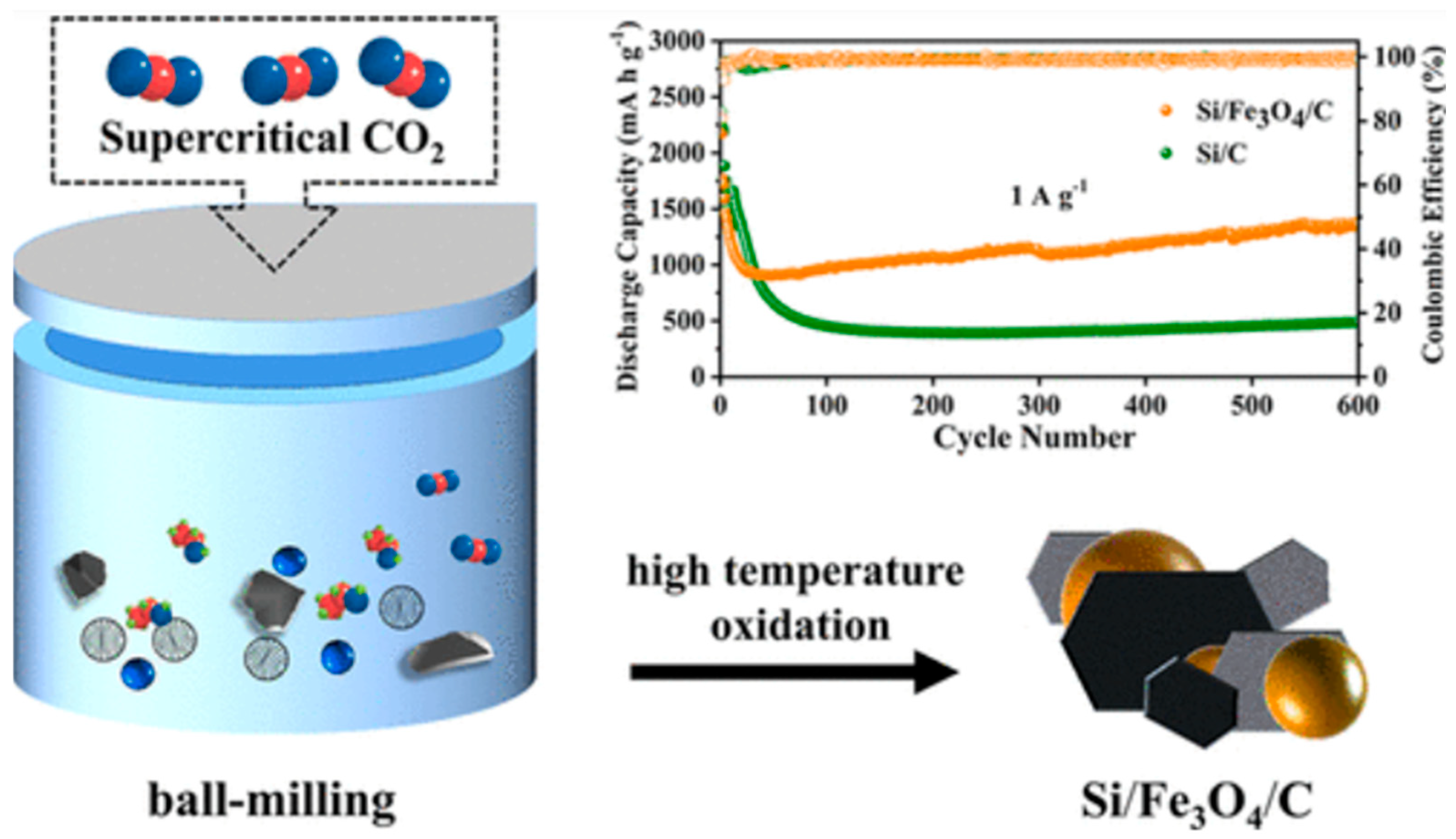 Coatings 16 00174 g030 Coatings 16 00174 g030