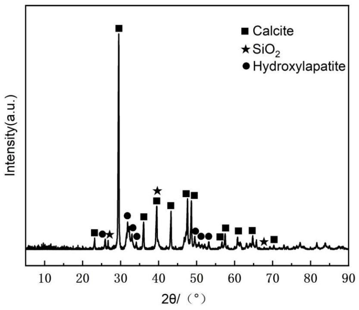 Coatings 16 00180 g007