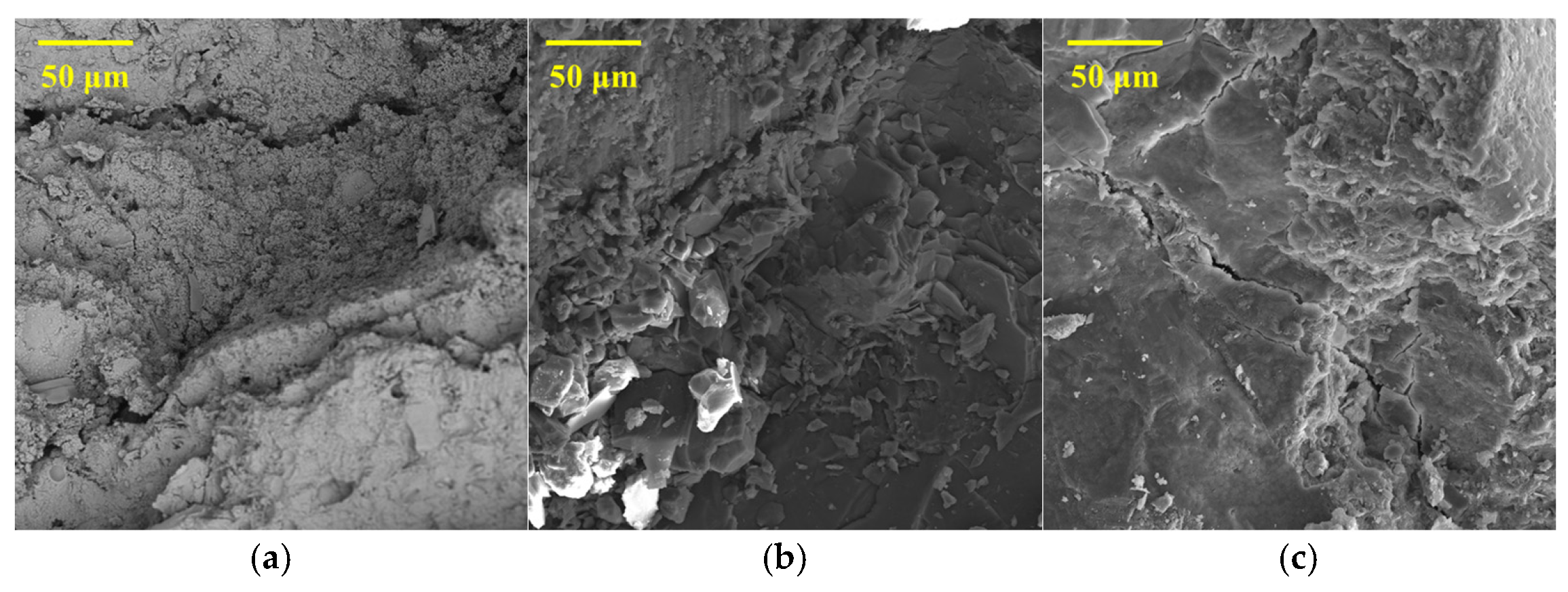 Coatings 16 00192 g015 Coatings 16 00192 g015