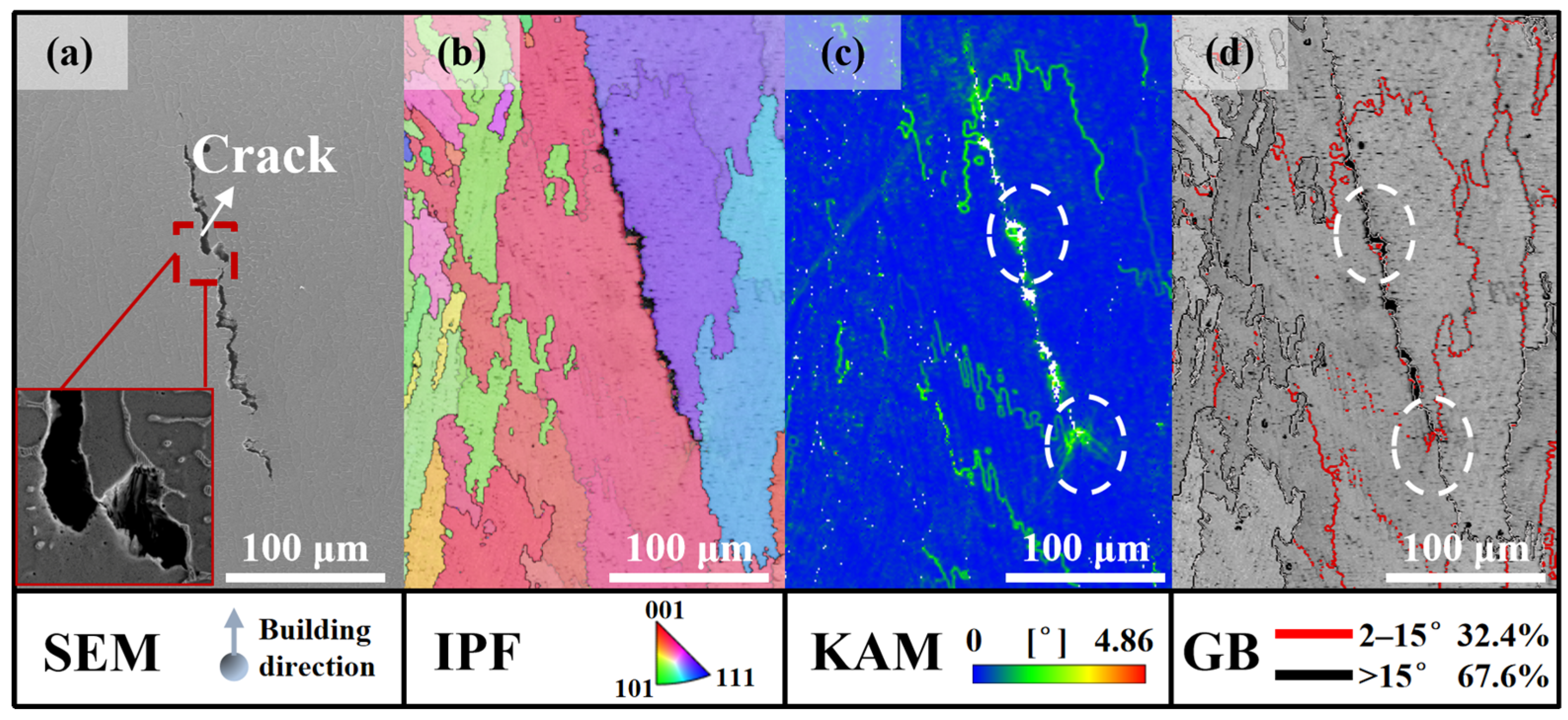 Coatings 16 00200 g007