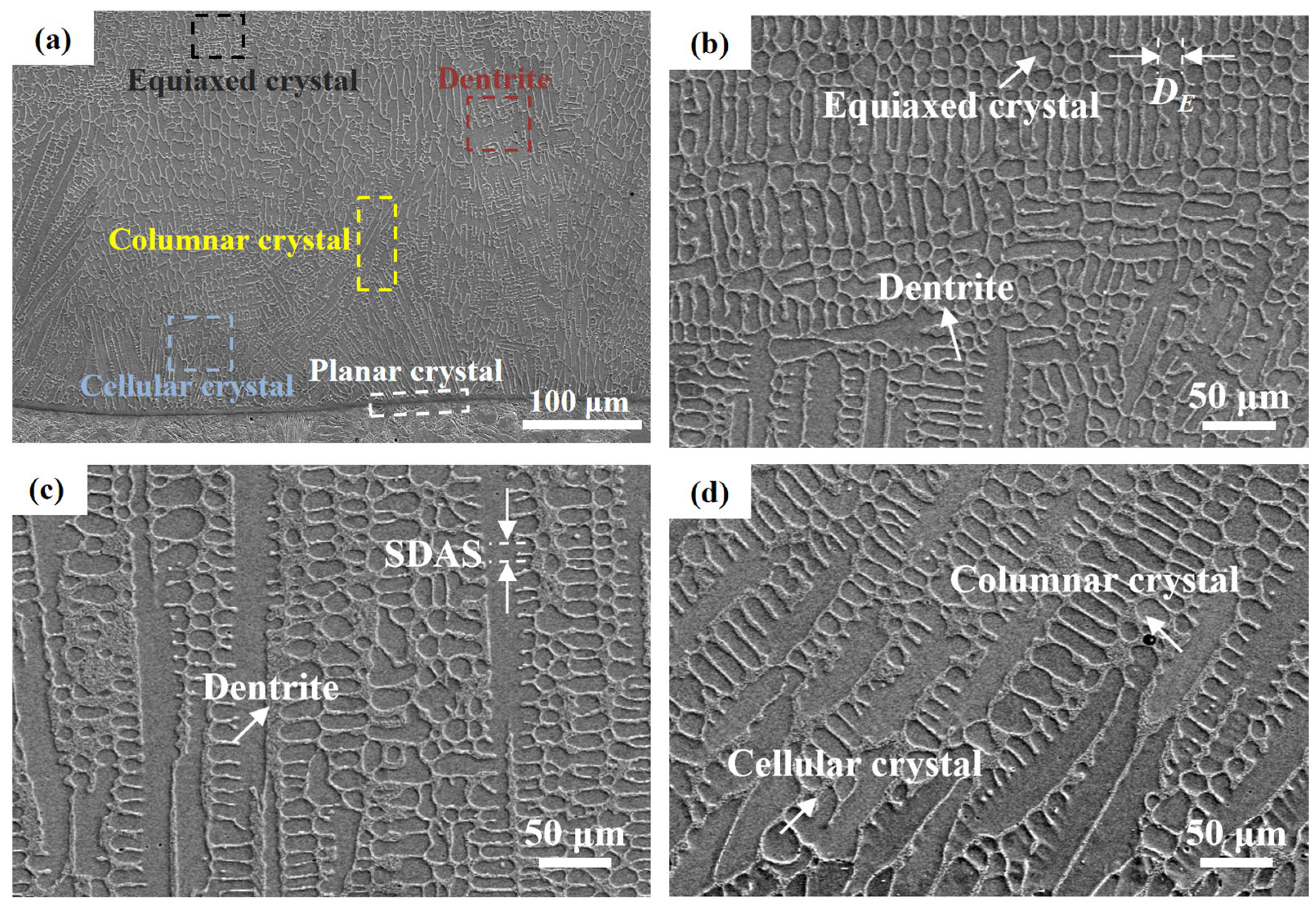 Coatings 16 00200 g008