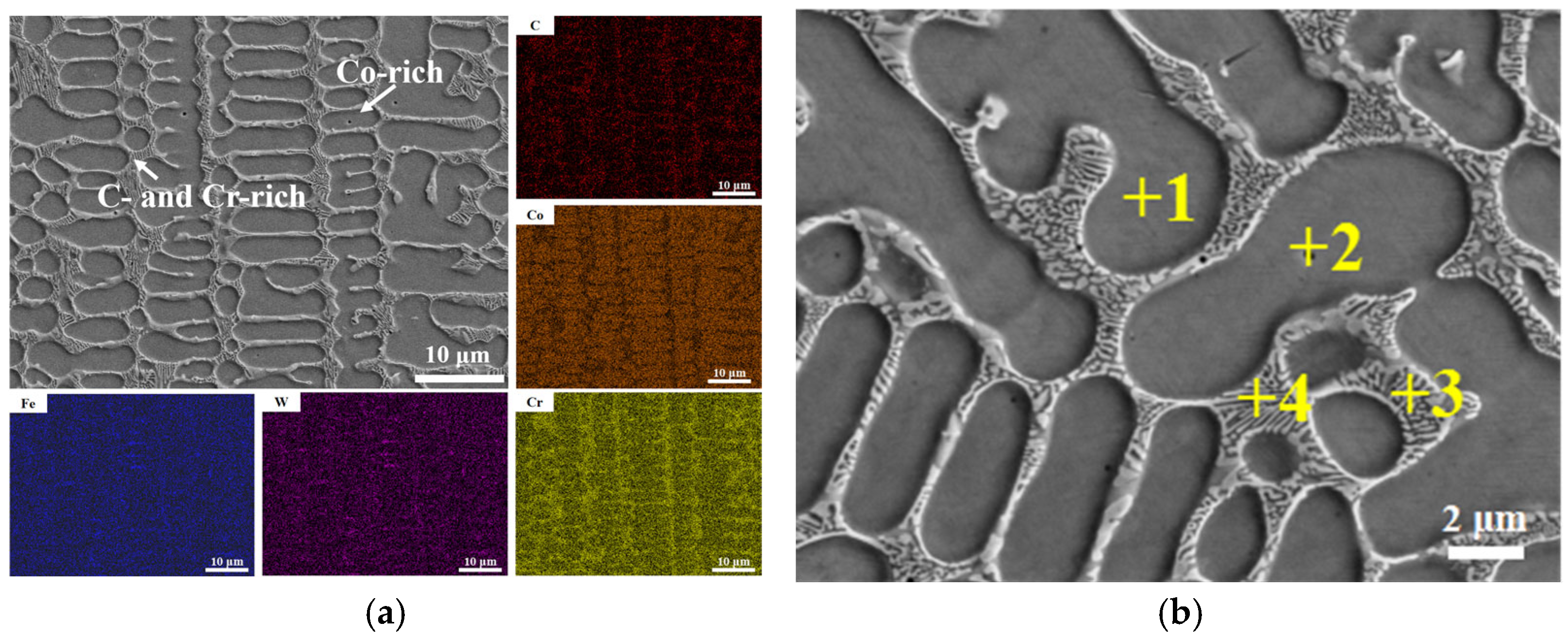 Coatings 16 00200 g010