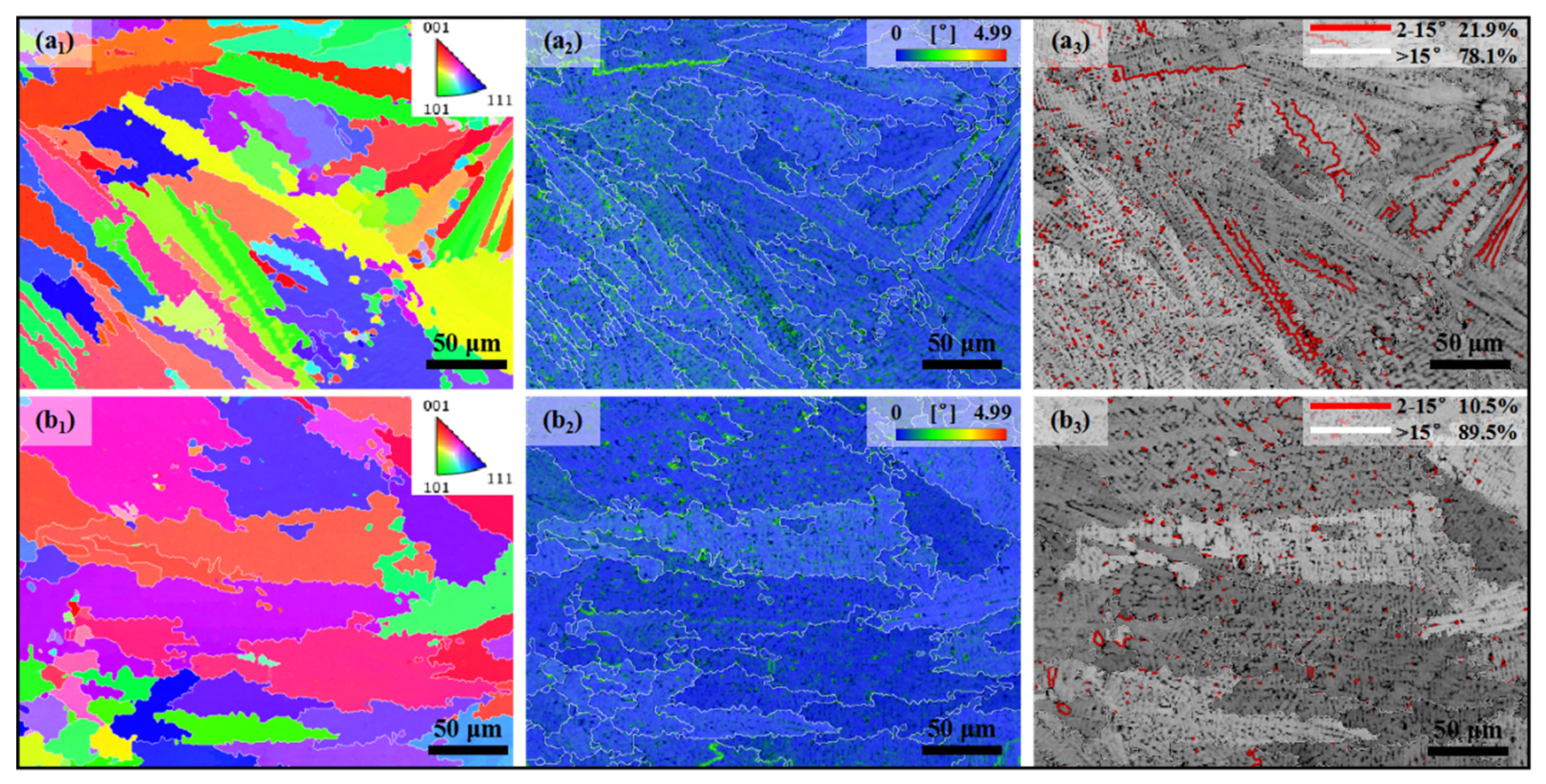 Coatings 16 00200 g011