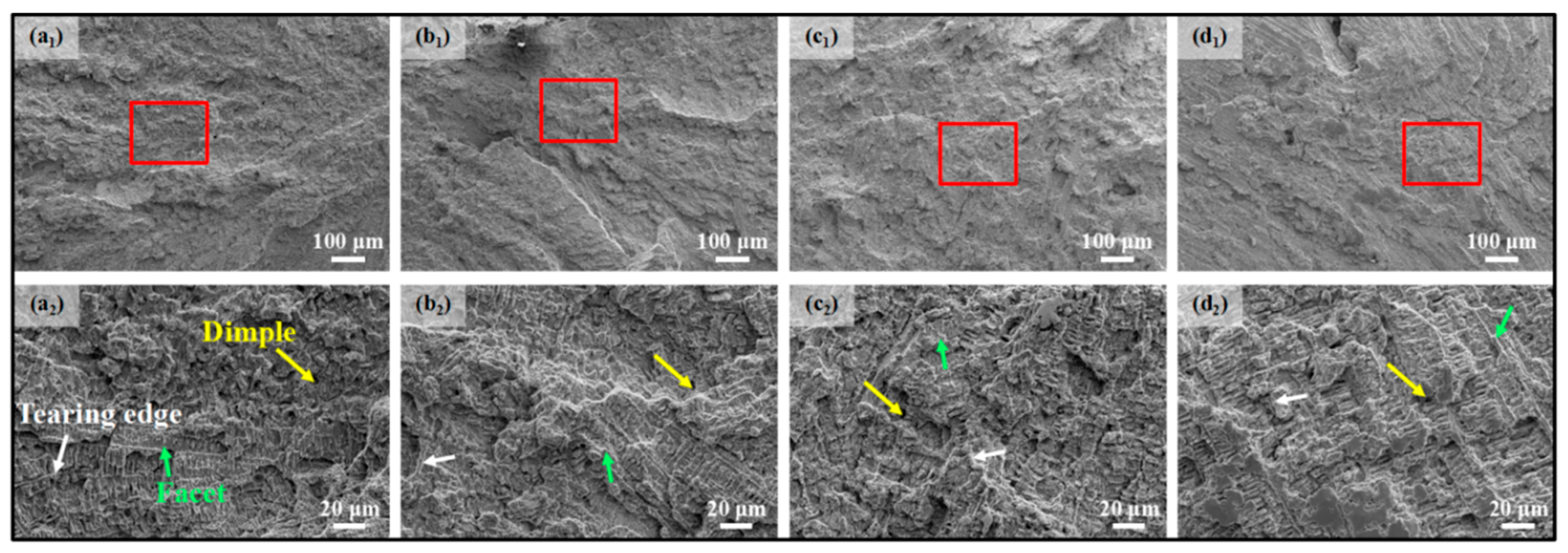 Coatings 16 00200 g016