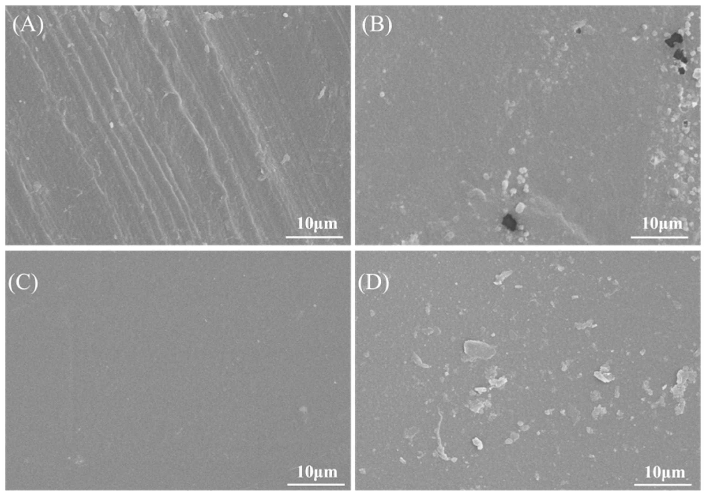 Coatings 16 00243 g003 Coatings 16 00243 g003