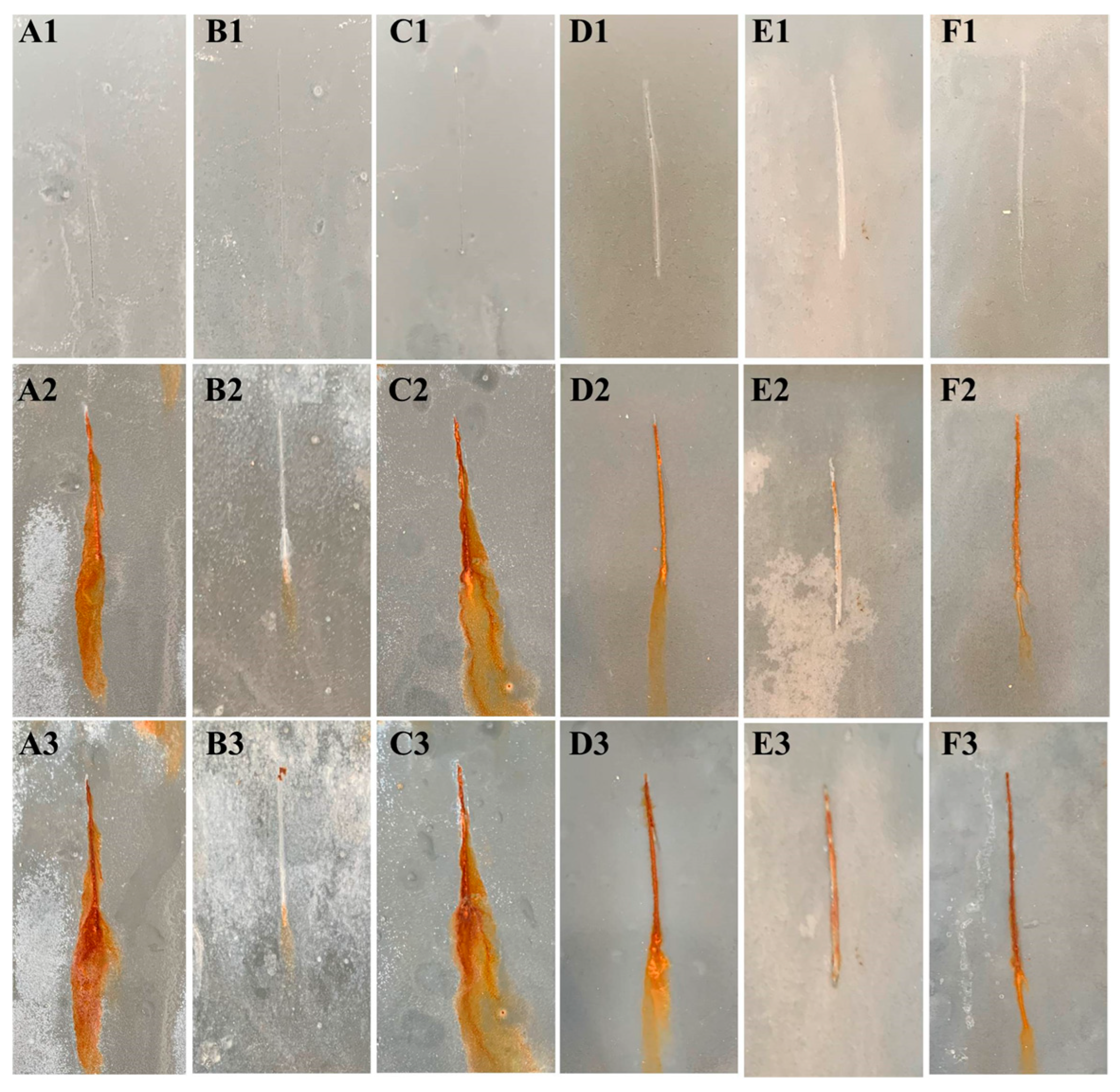 Coatings 16 00243 g009 Coatings 16 00243 g009