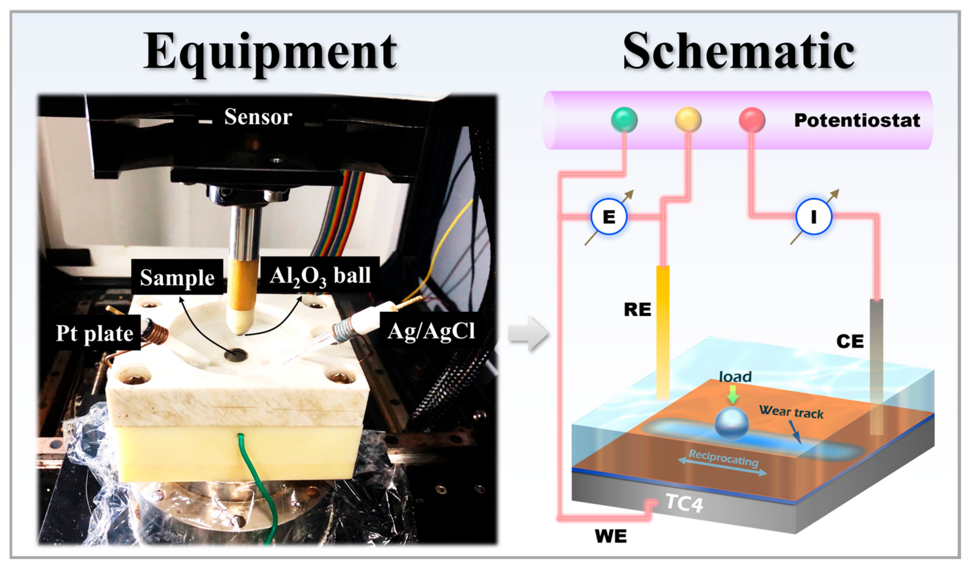 Coatings 16 00245 g002