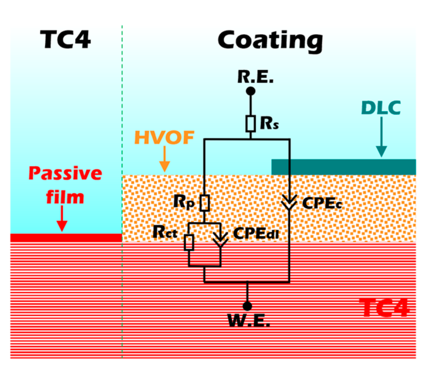 Coatings 16 00245 g008