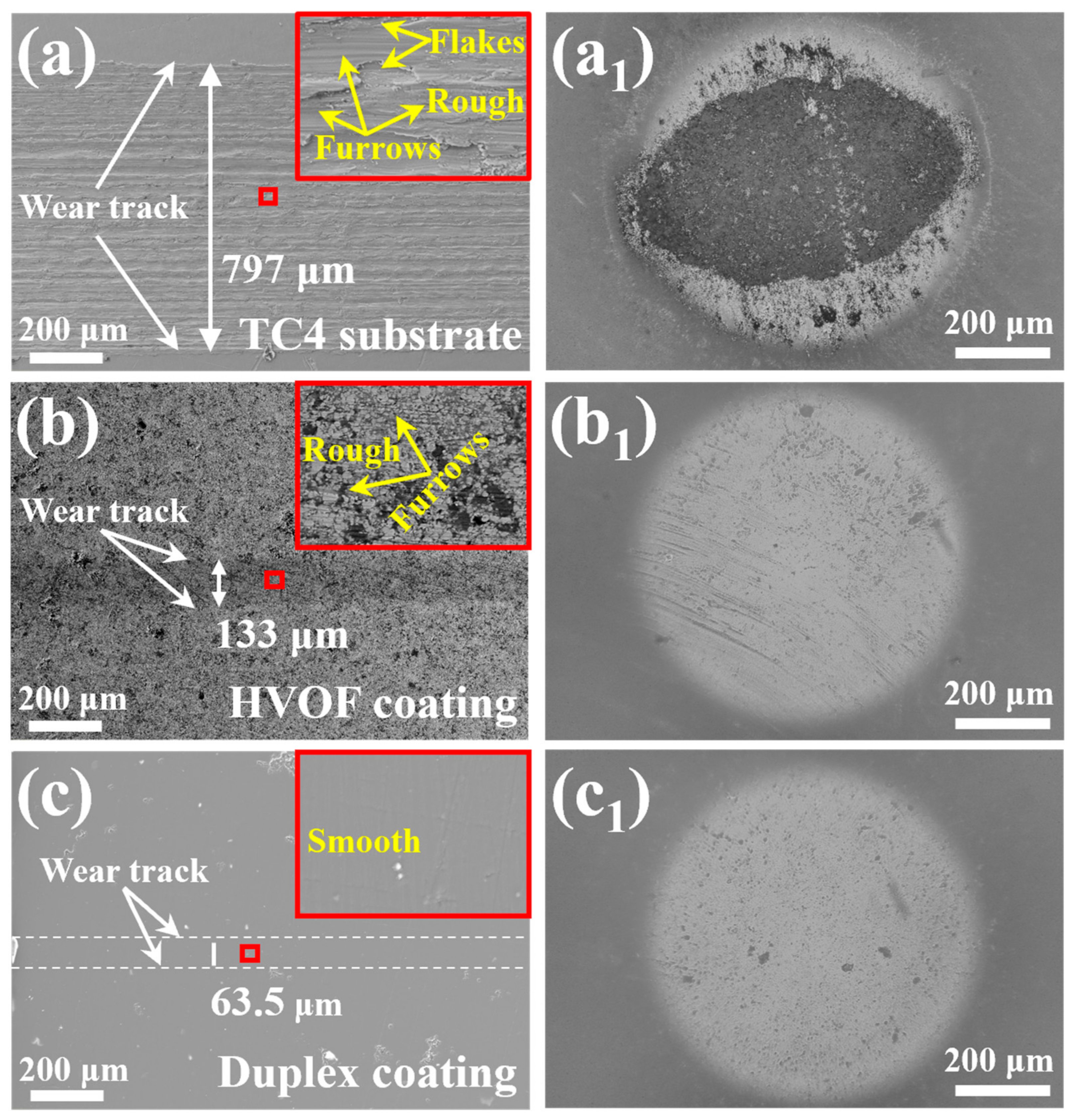Coatings 16 00245 g014