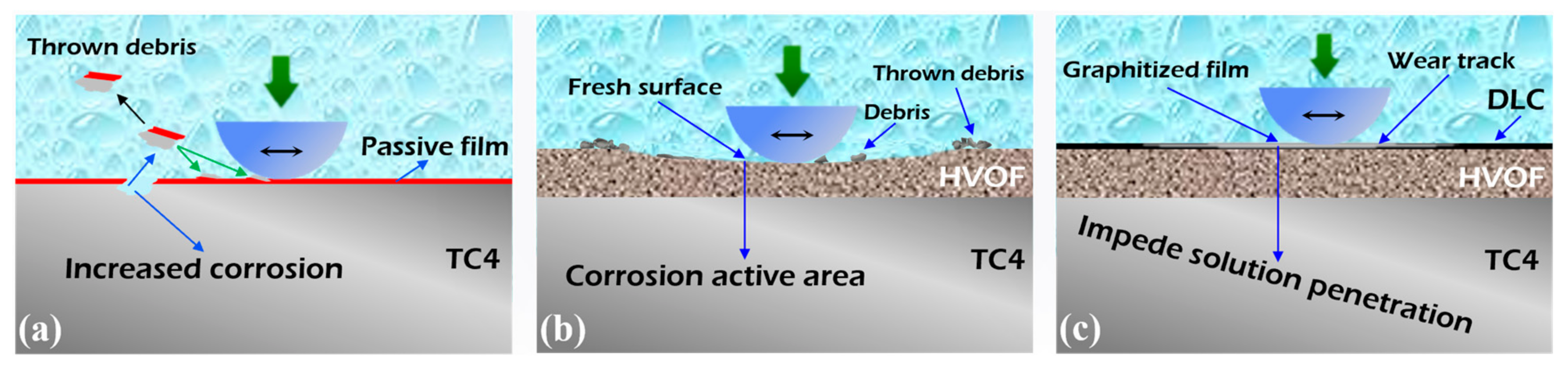 Coatings 16 00245 g017