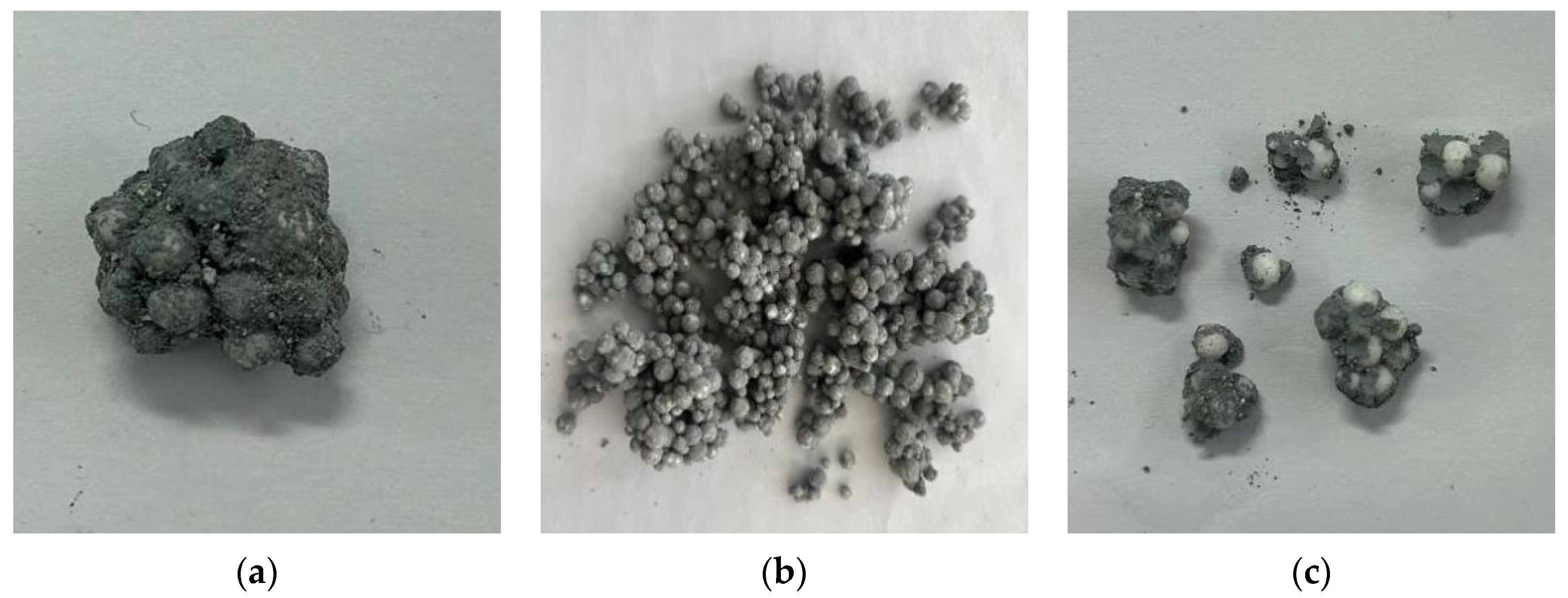 Coatings 16 00256 g005 Coatings 16 00256 g005