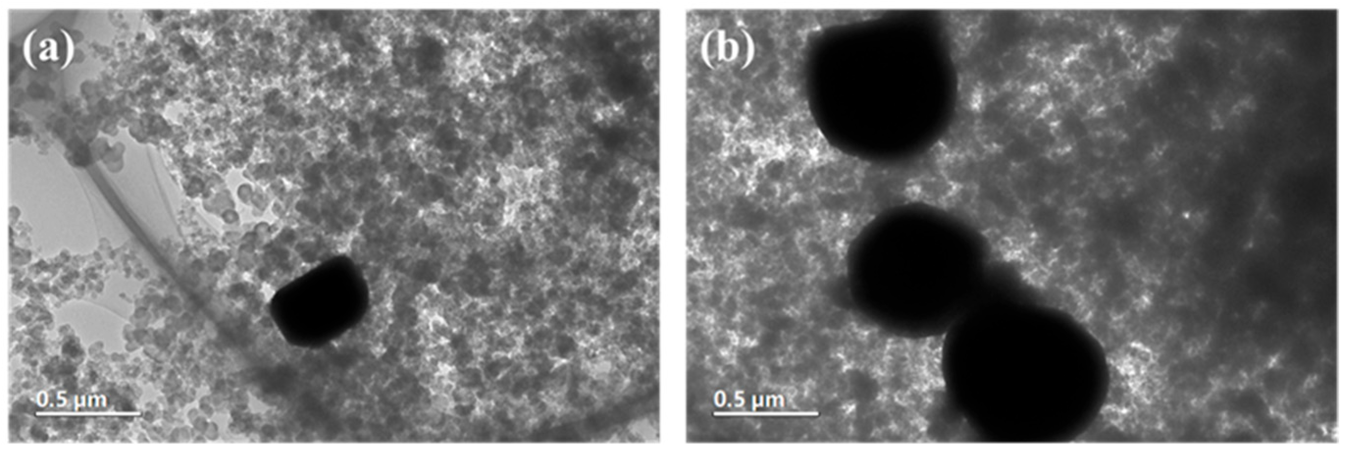 Coatings 16 00260 g002