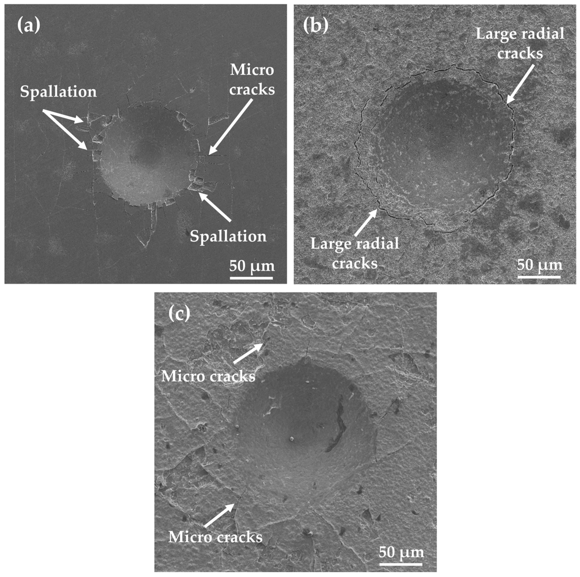 Coatings 16 00263 g007 Coatings 16 00263 g007