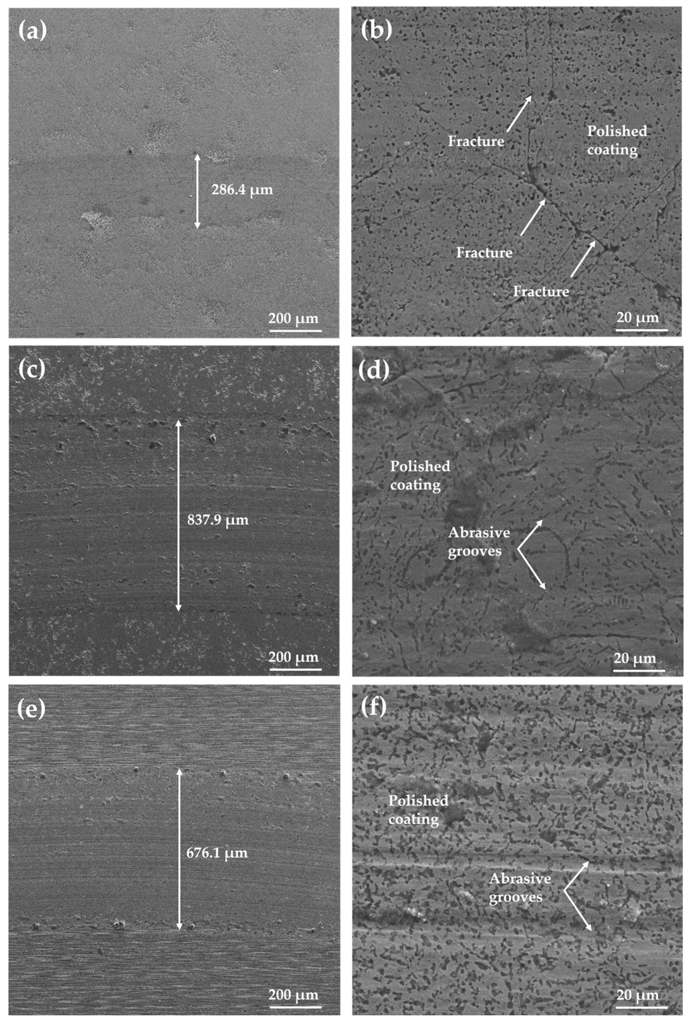 Coatings 16 00263 g009 Coatings 16 00263 g009