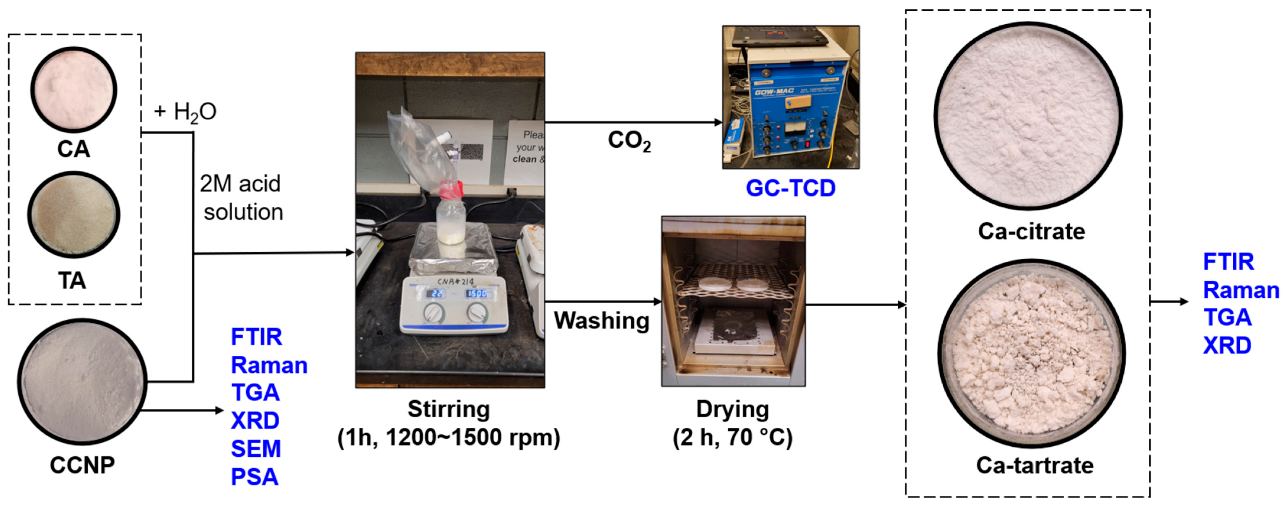 Coatings 16 00268 g001