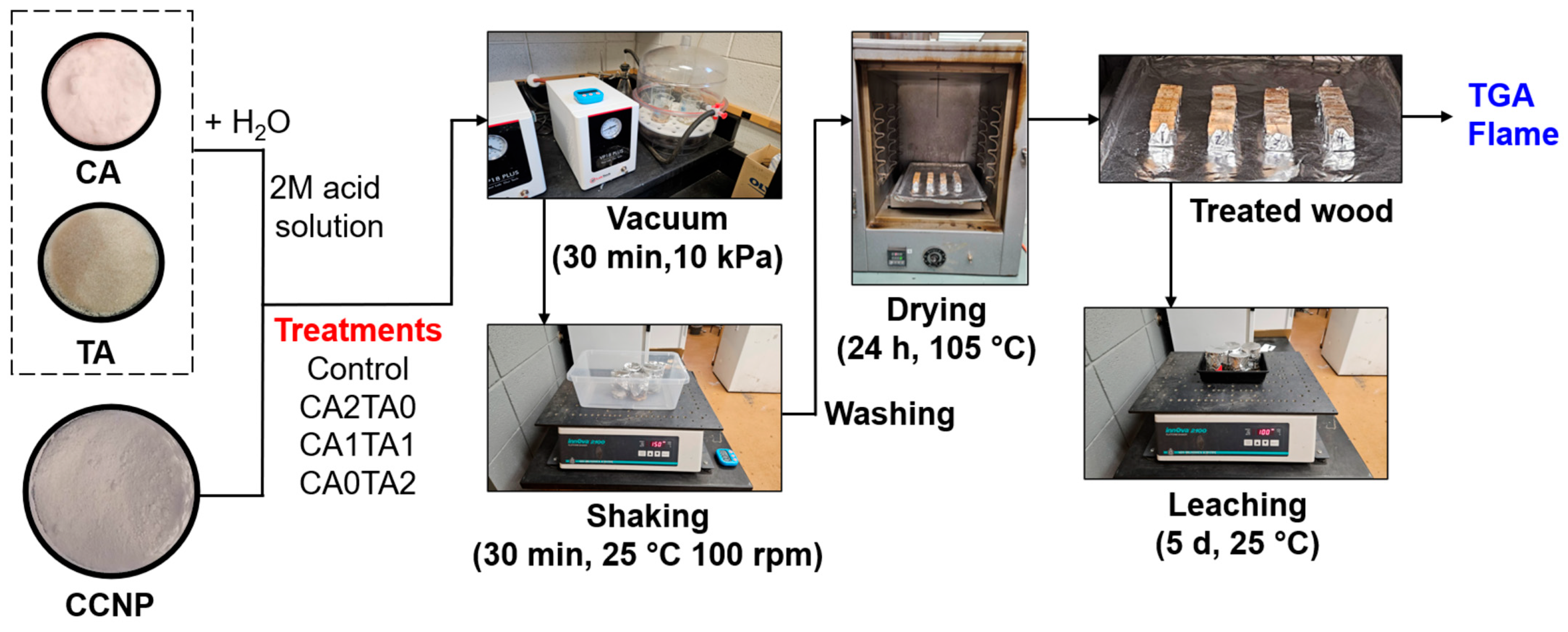 Coatings 16 00268 g002