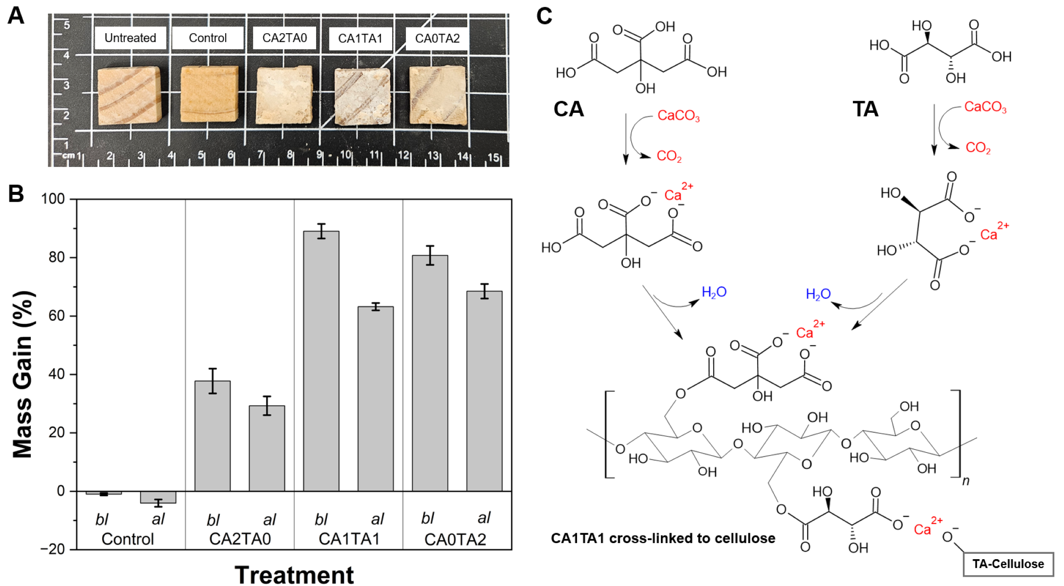 Coatings 16 00268 g007
