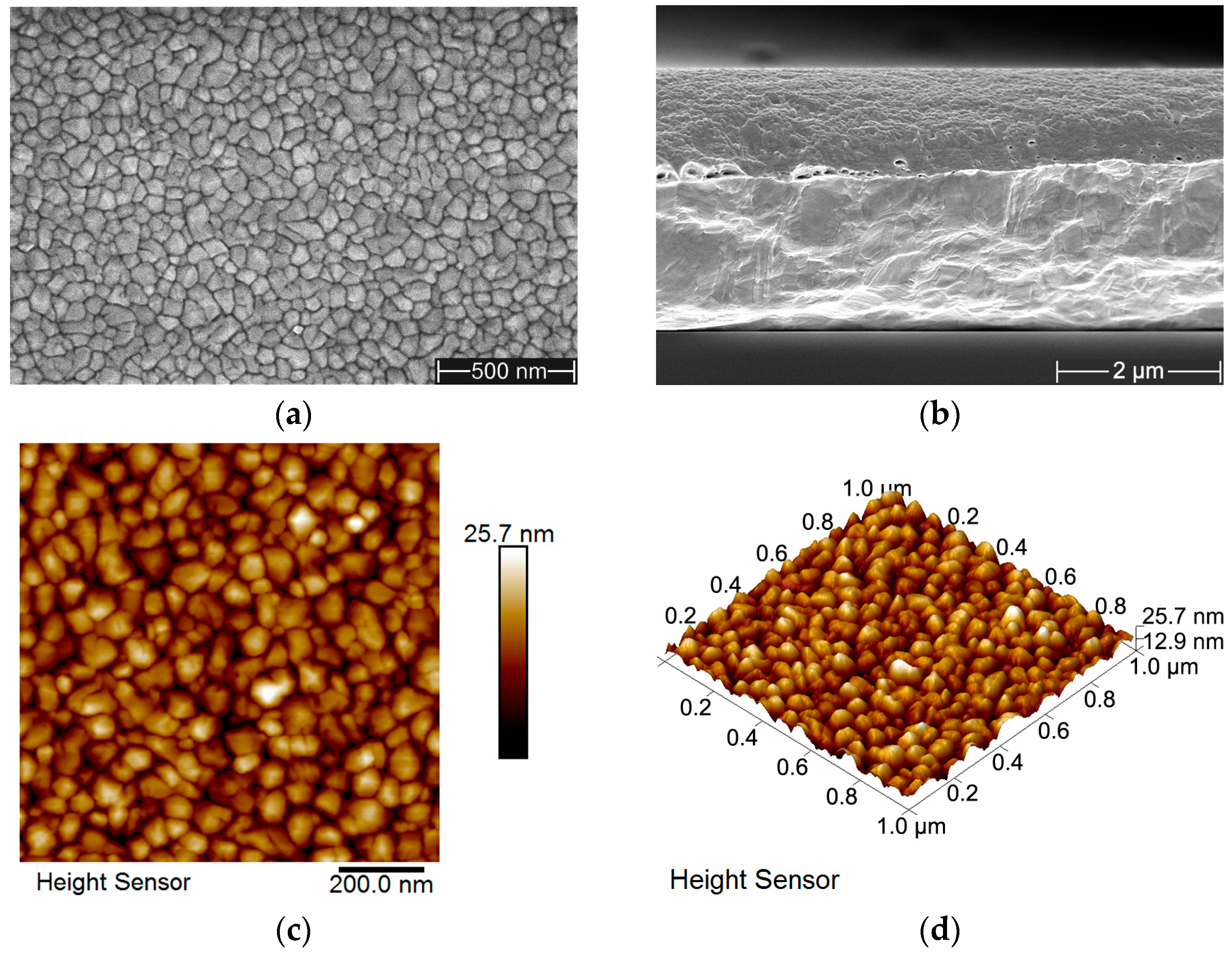 Coatings 16 00279 g002