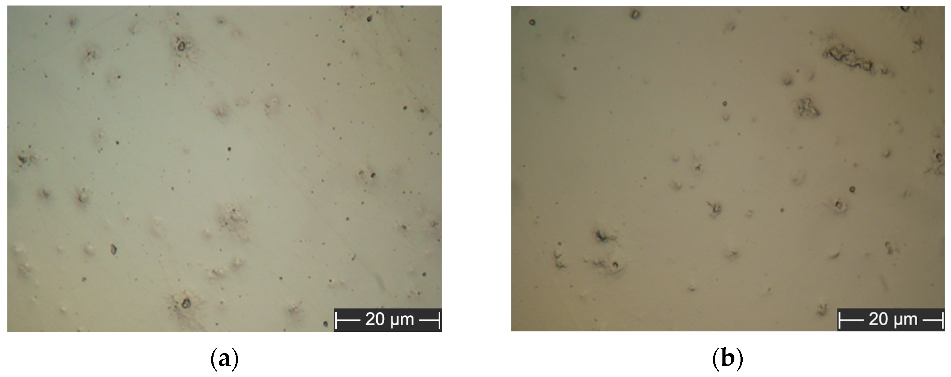 Coatings 16 00279 g003