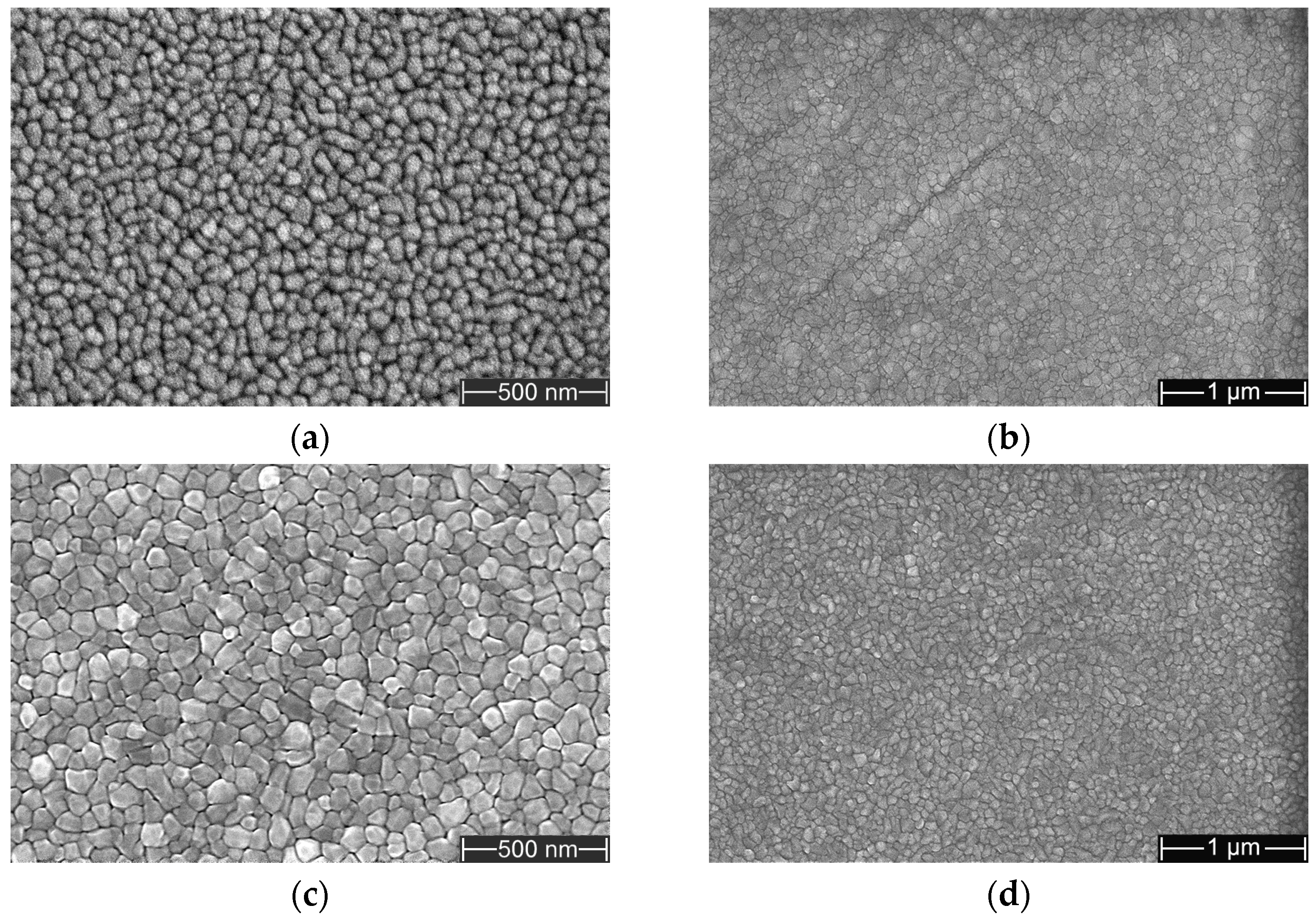 Coatings 16 00279 g004