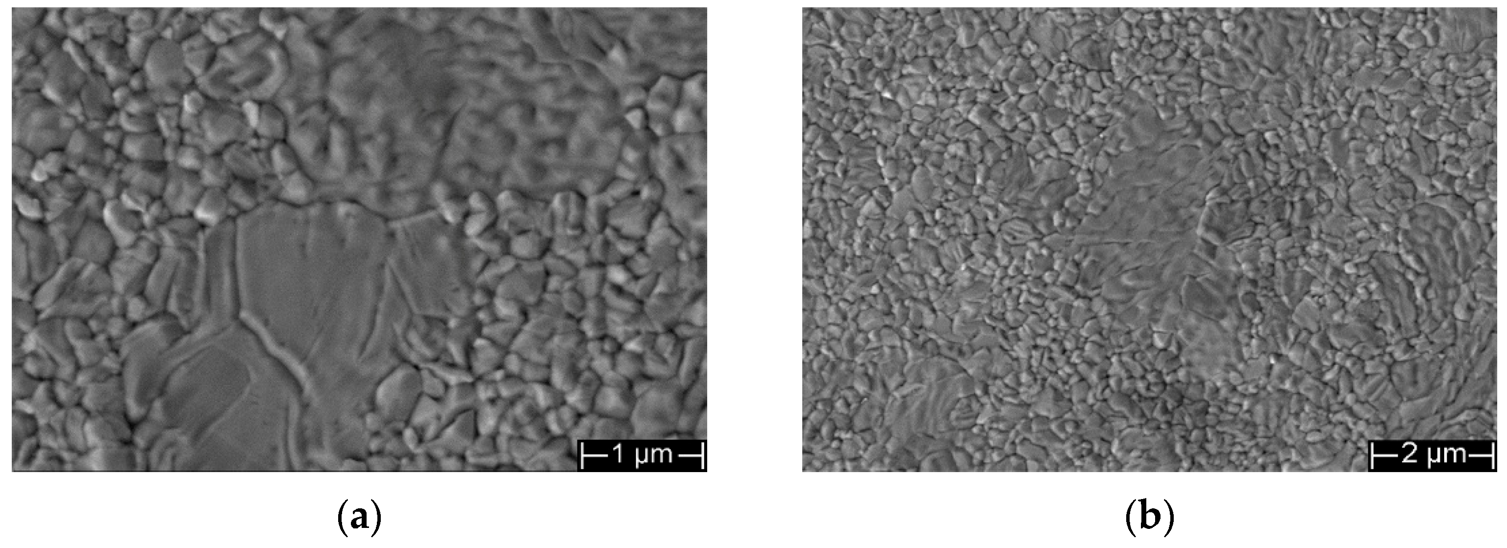 Coatings 16 00279 g006