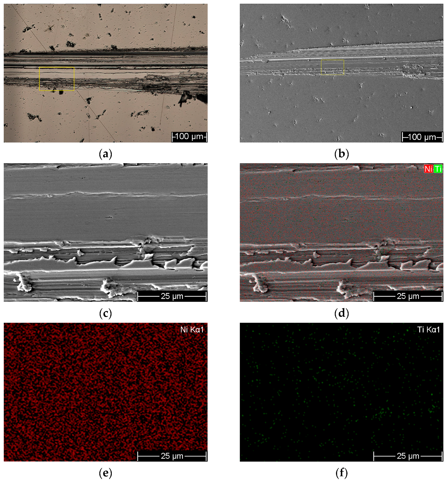 Coatings 16 00279 g011