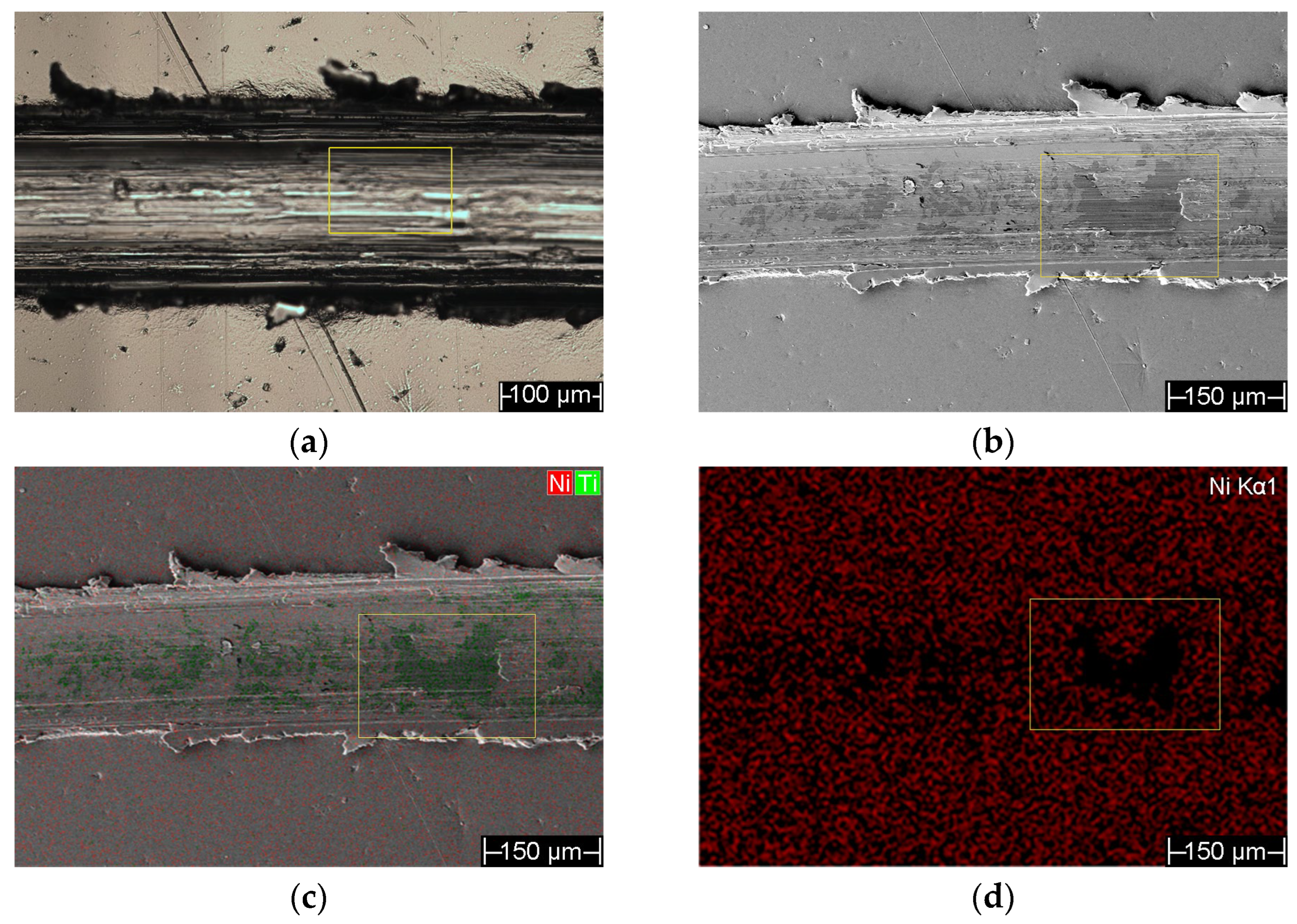 Coatings 16 00279 g012a