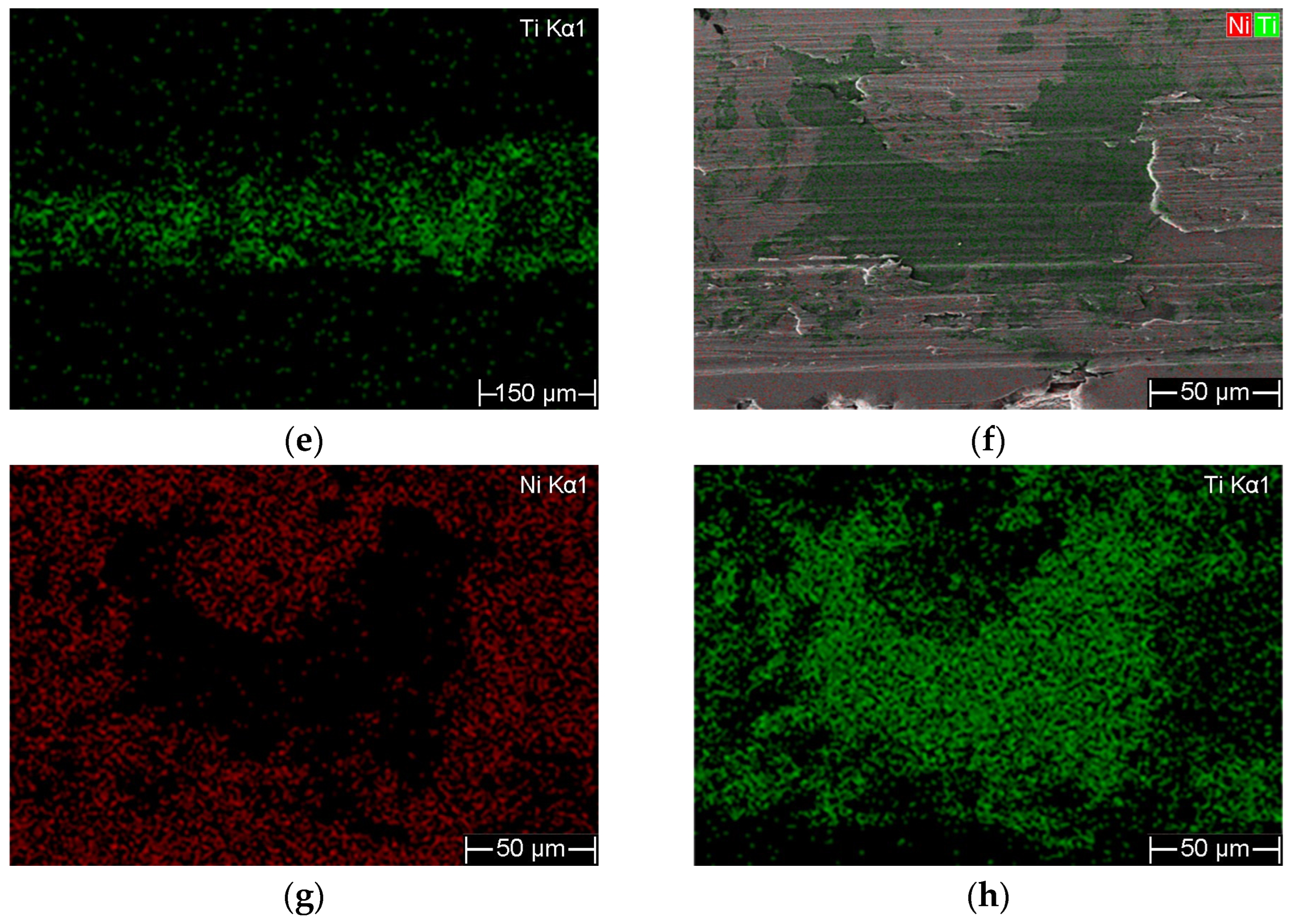 Coatings 16 00279 g012b