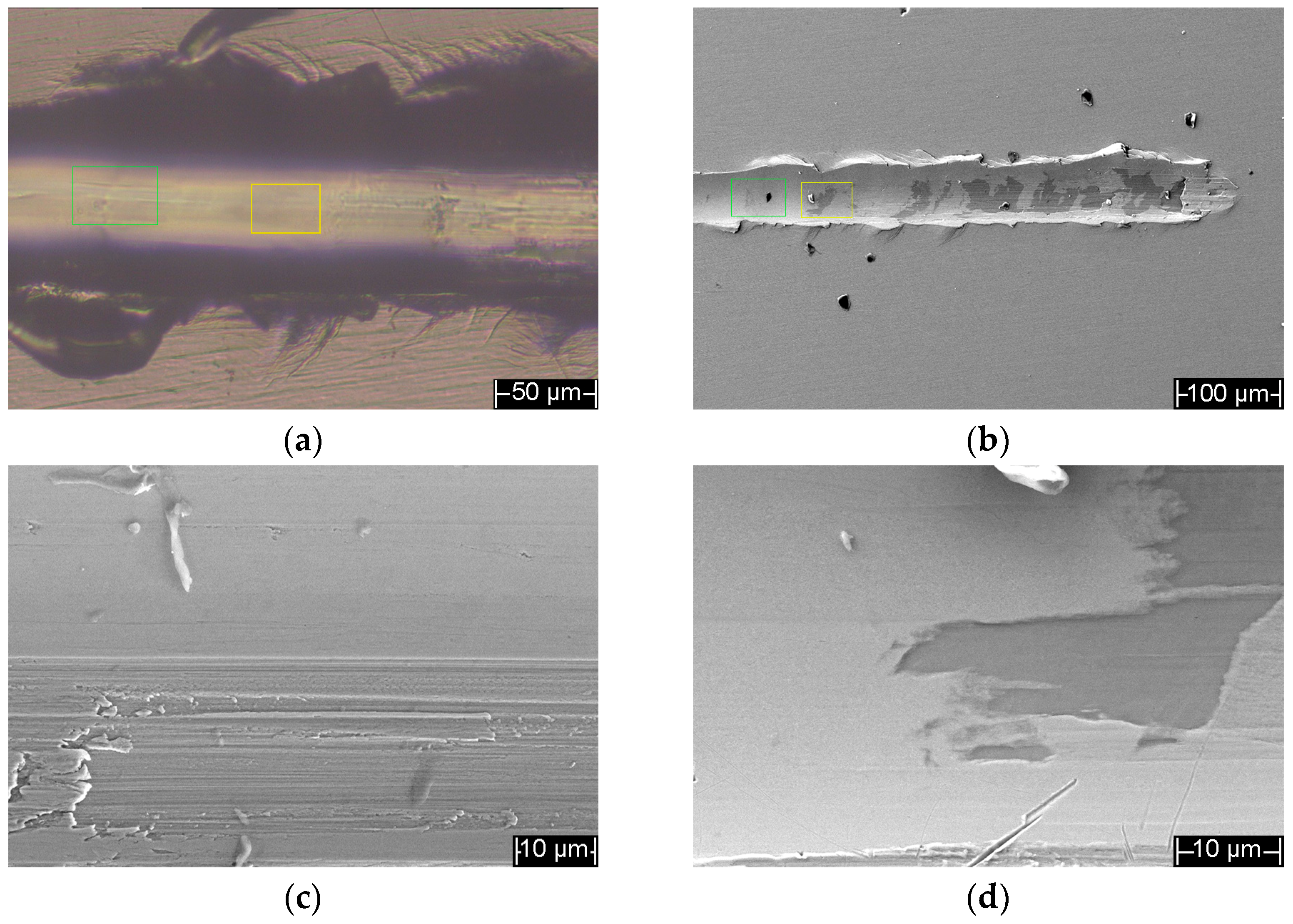 Coatings 16 00279 g014