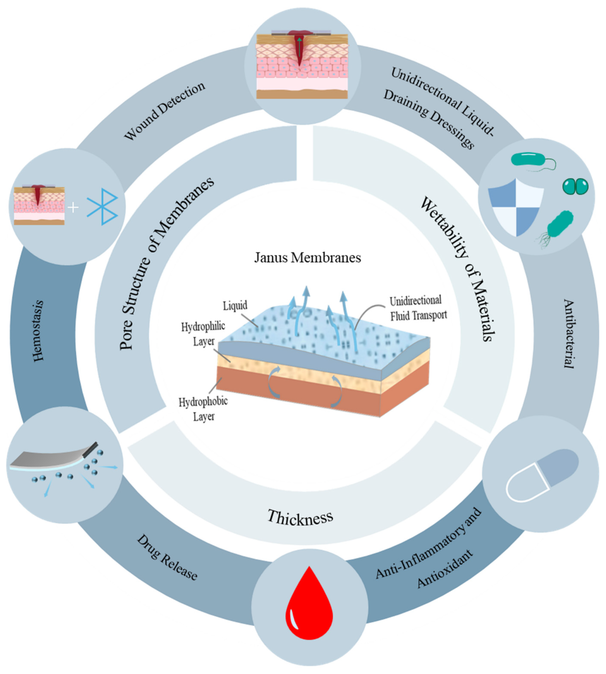 Coatings 16 00281 g001