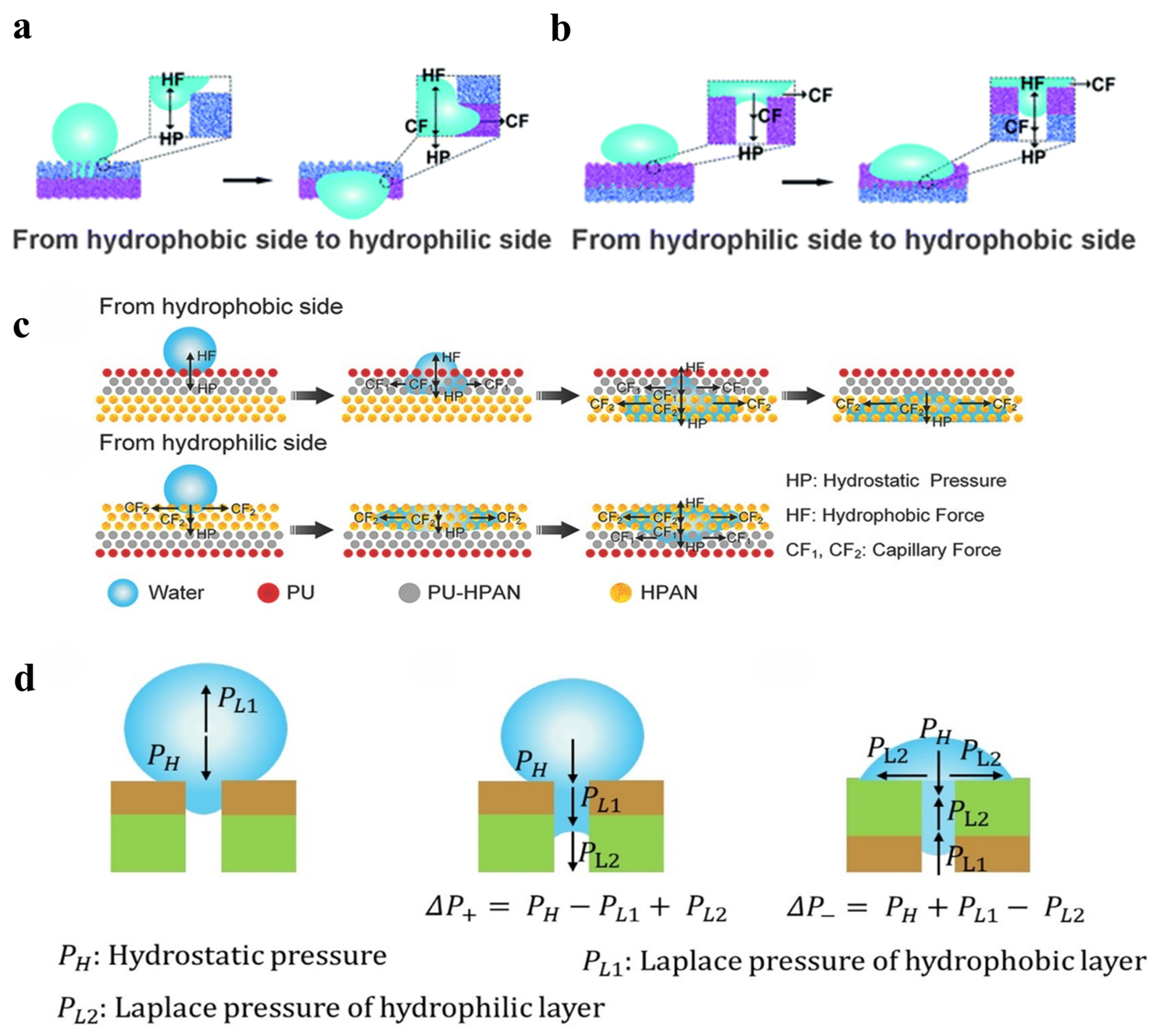 Coatings 16 00281 g002