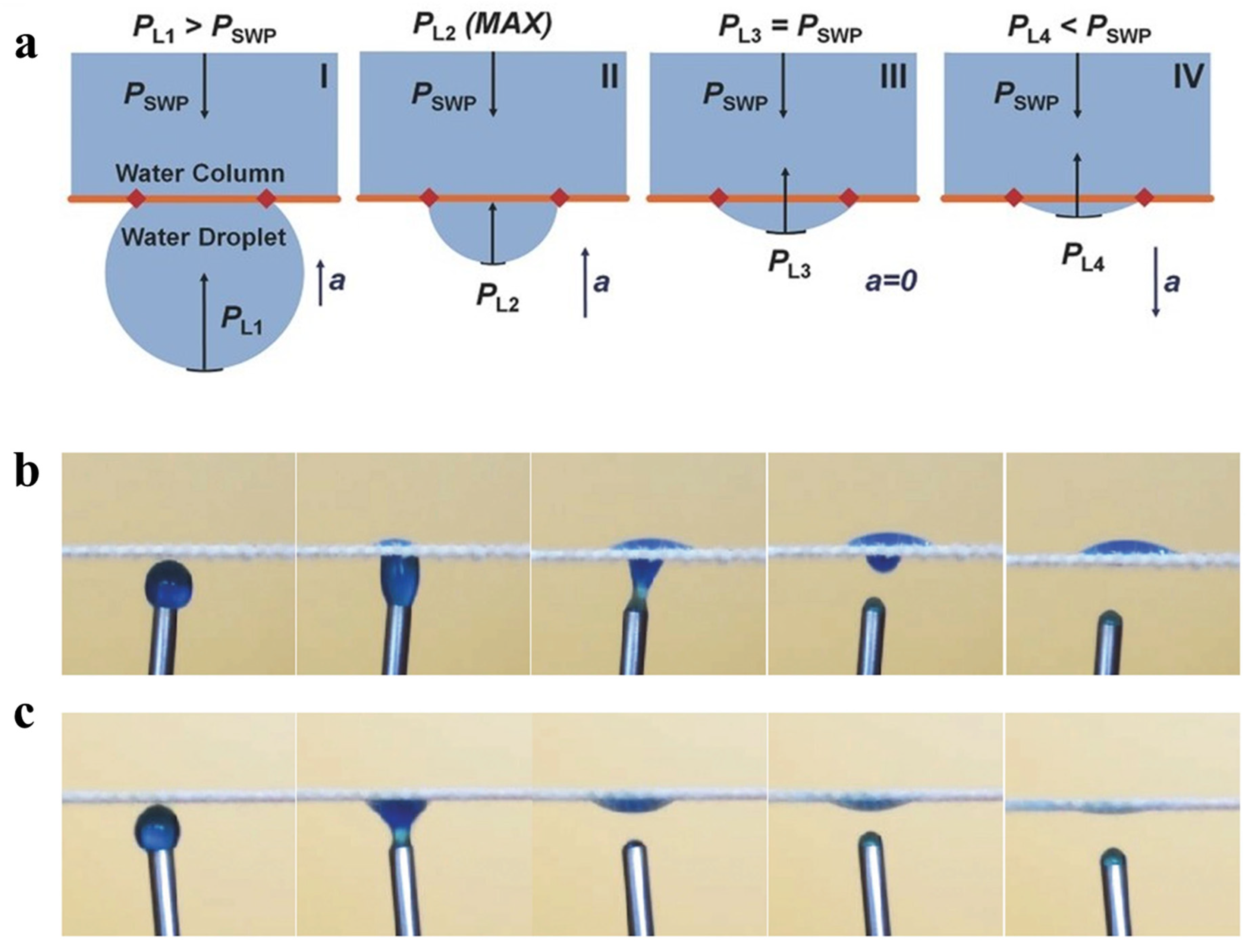 Coatings 16 00281 g003