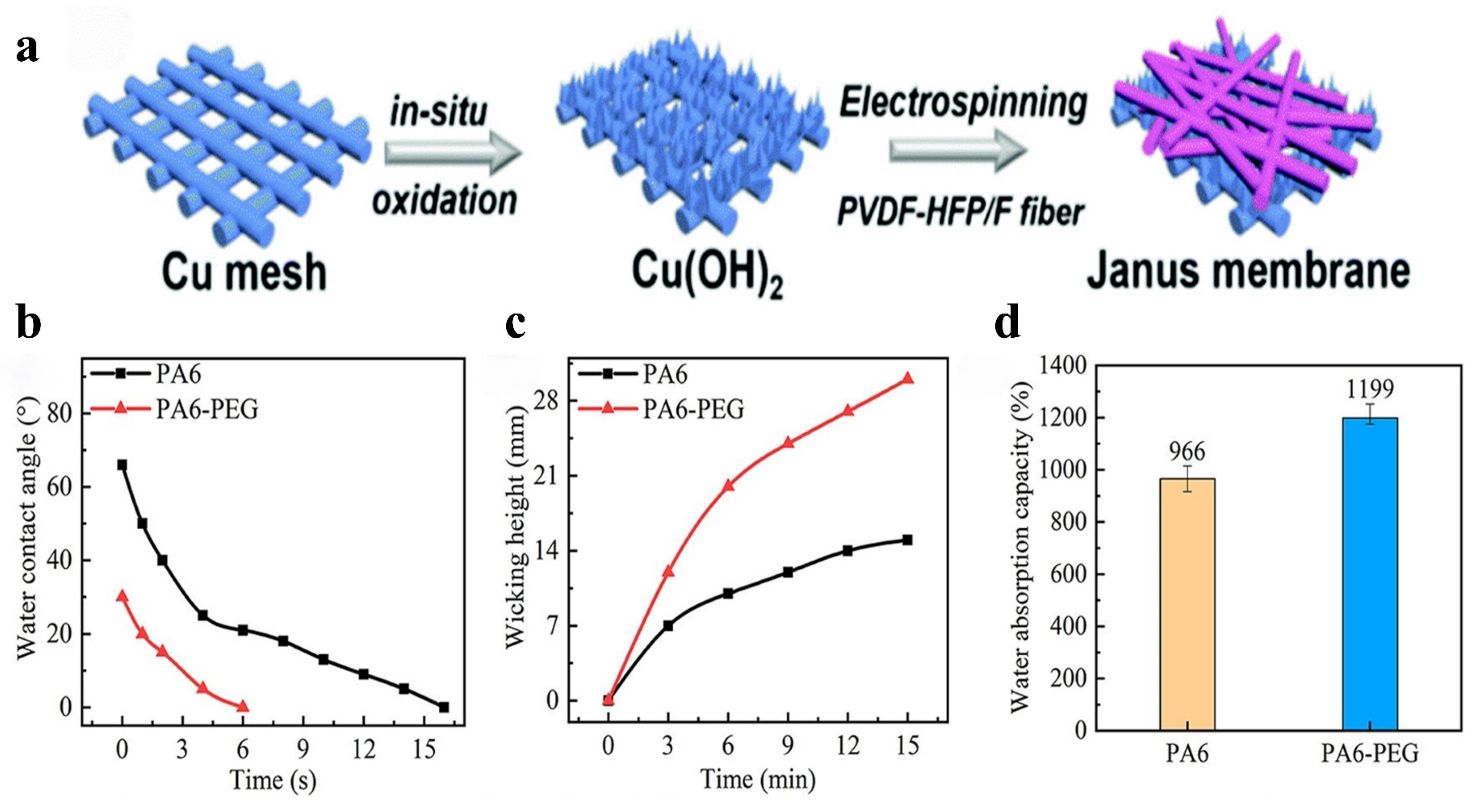 Coatings 16 00281 g004