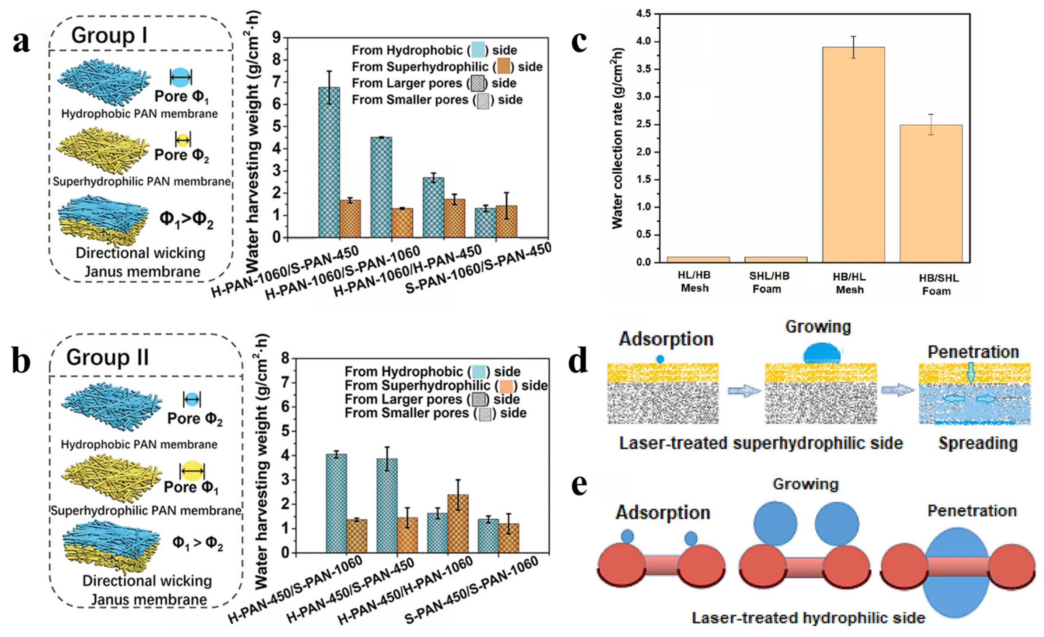 Coatings 16 00281 g005