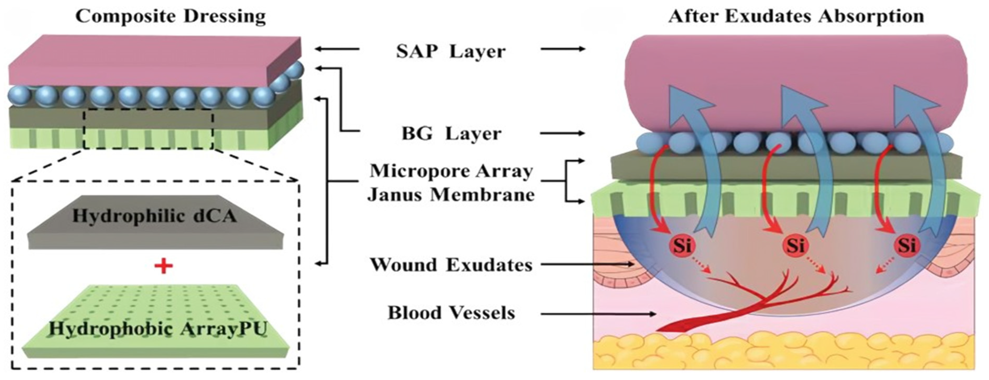 Coatings 16 00281 g006