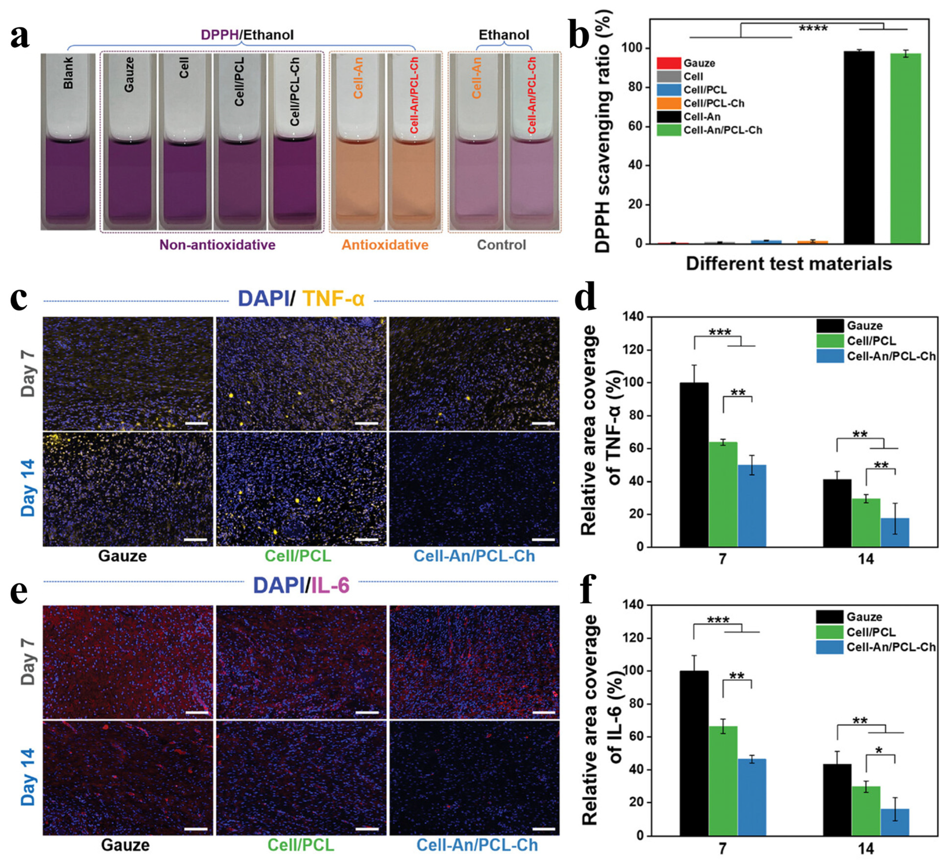 Coatings 16 00281 g008