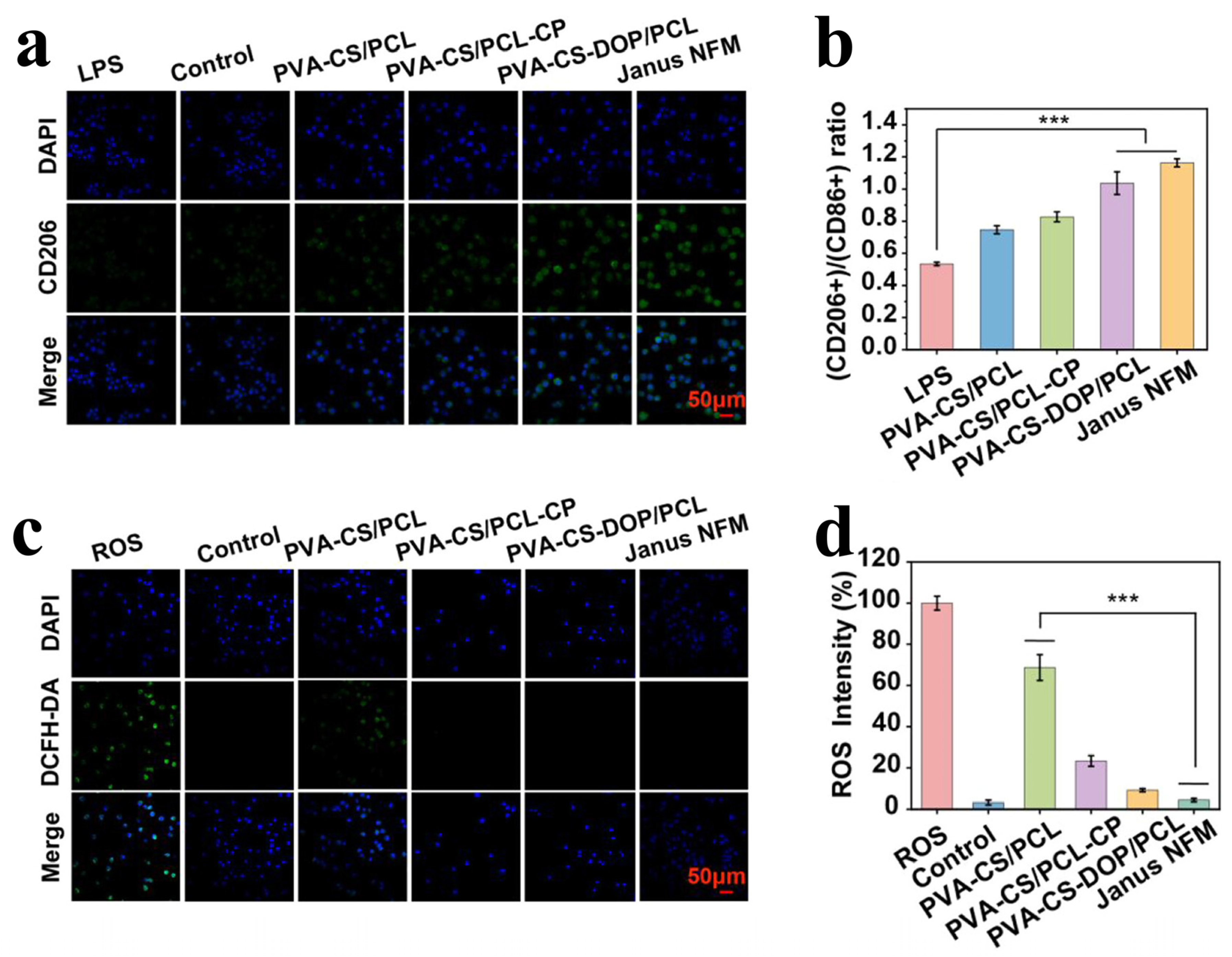 Coatings 16 00281 g009