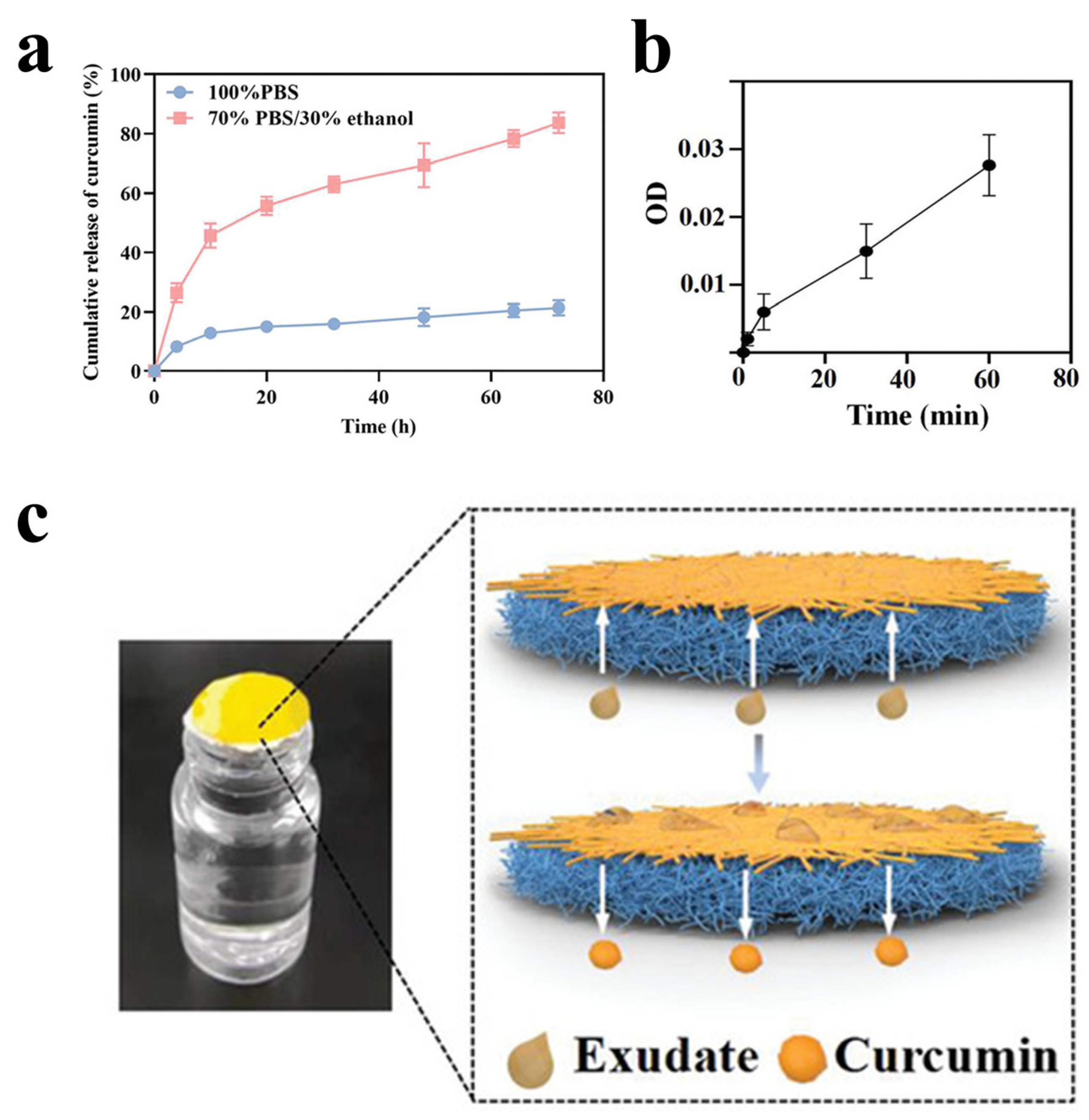 Coatings 16 00281 g010