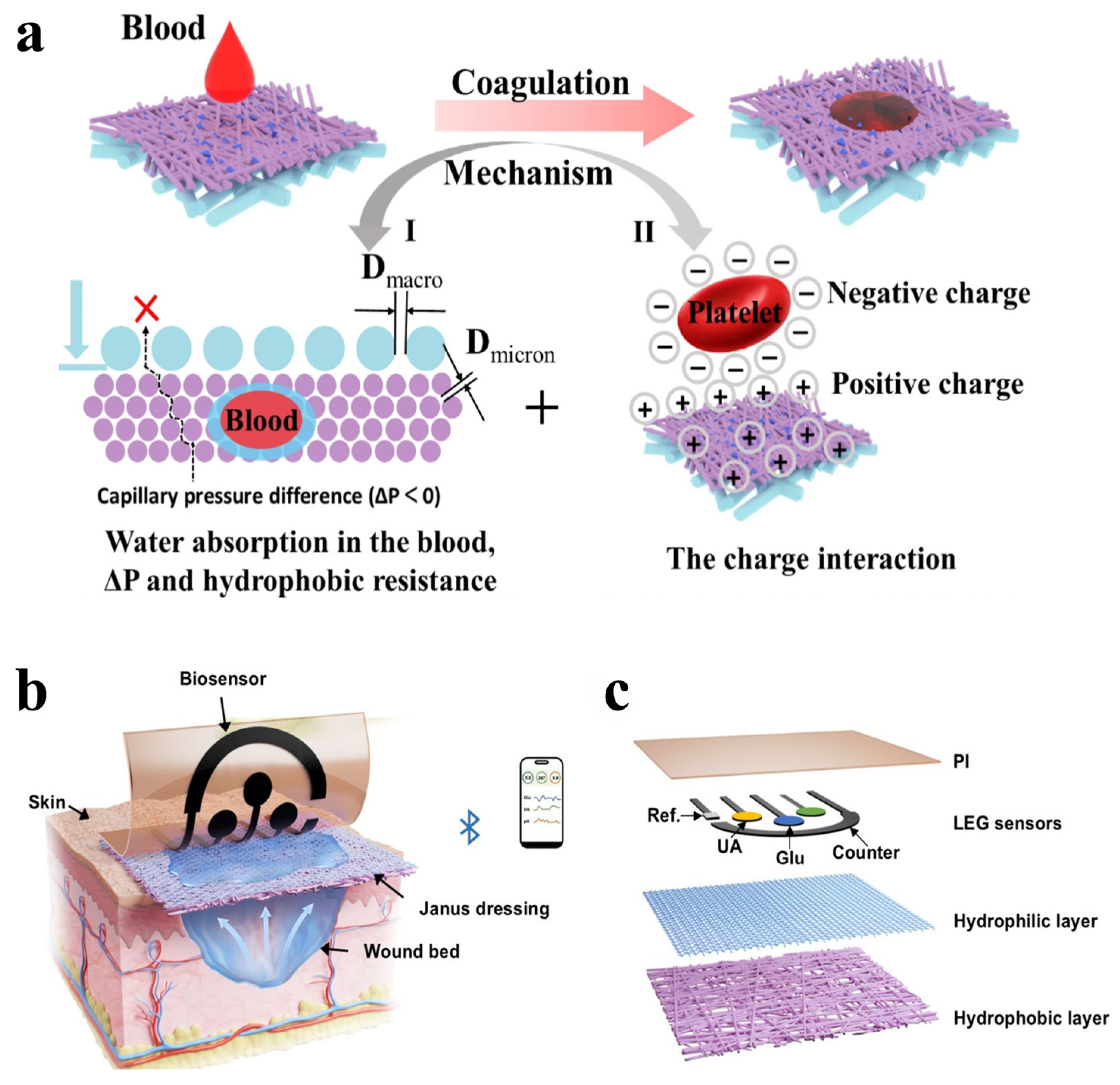 Coatings 16 00281 g011