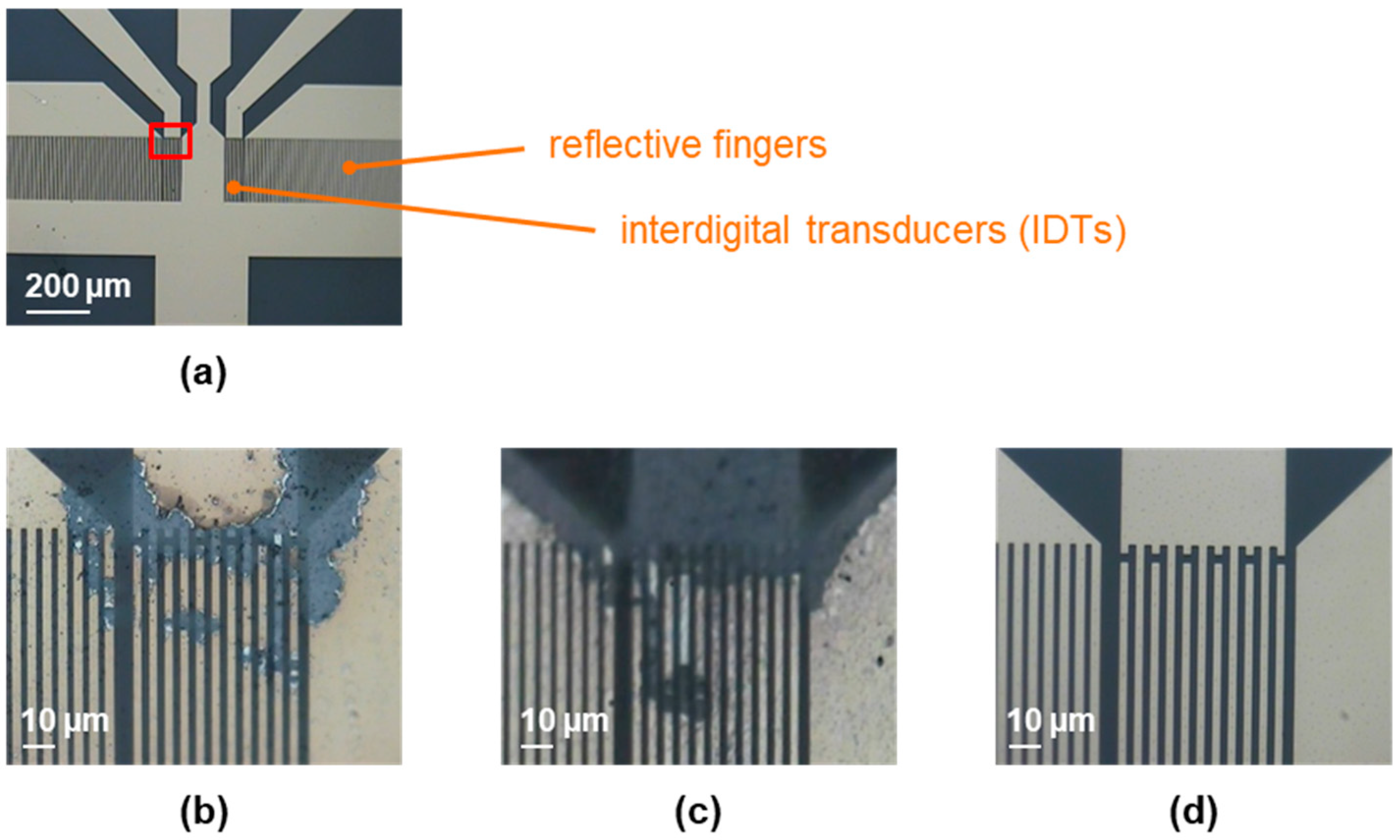 Coatings 16 00283 g001