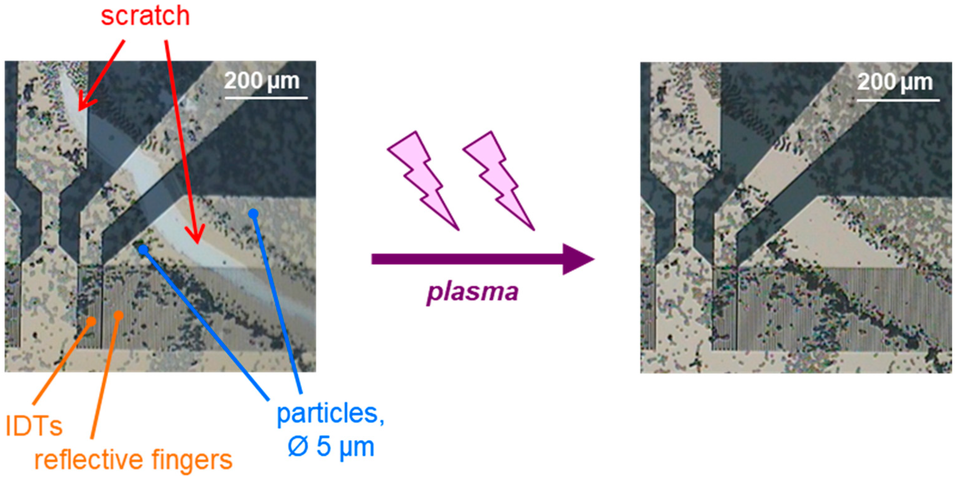 Coatings 16 00283 g002