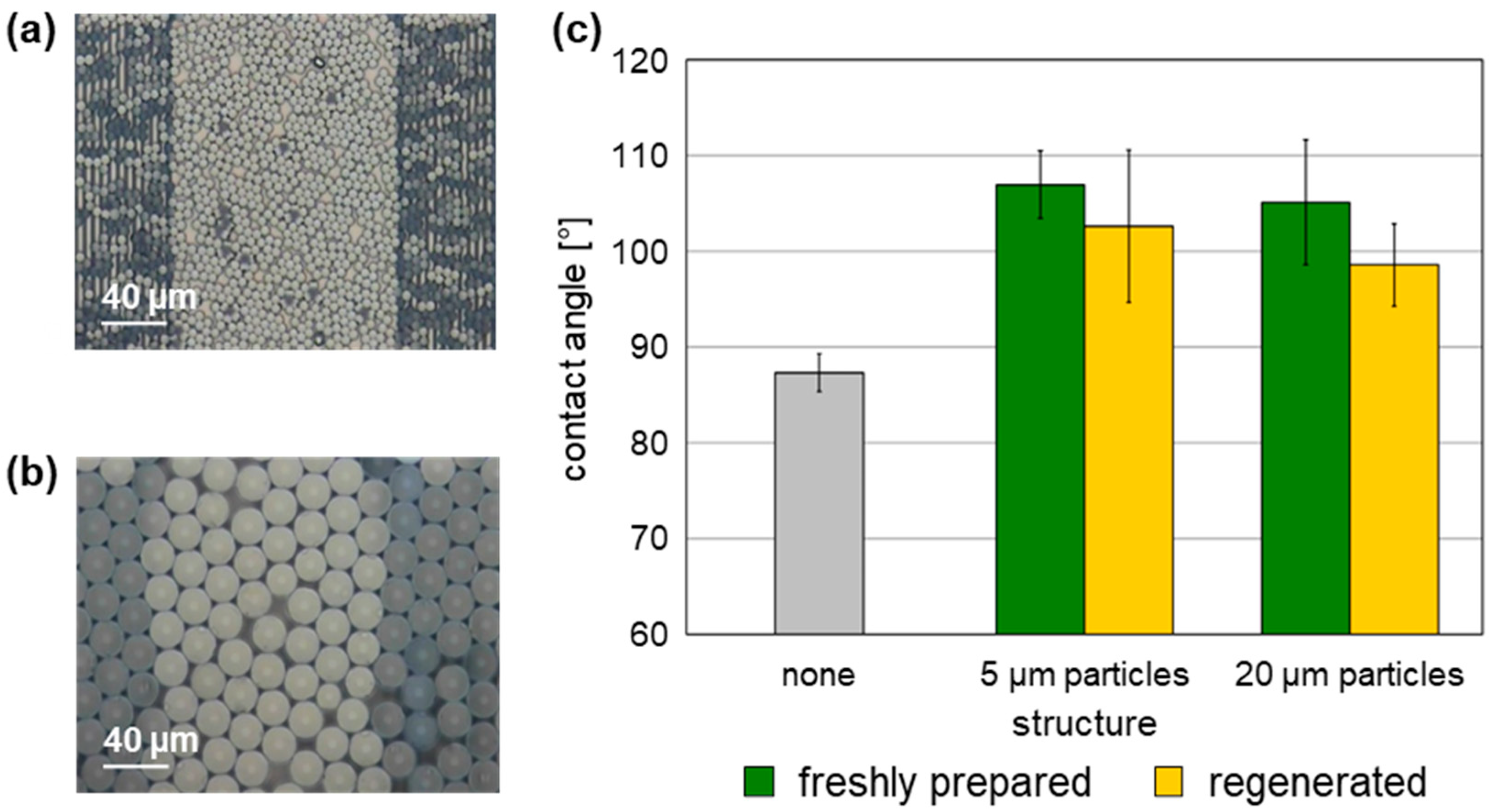 Coatings 16 00283 g003