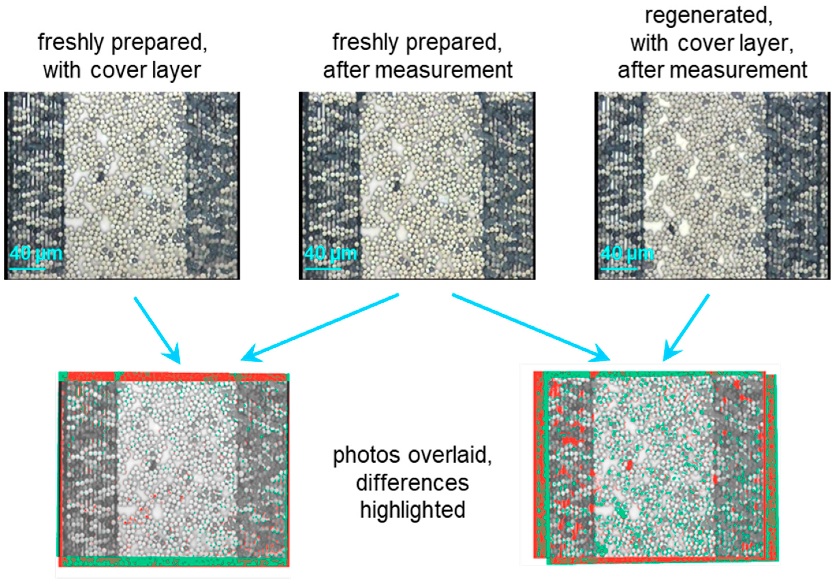 Coatings 16 00283 g004
