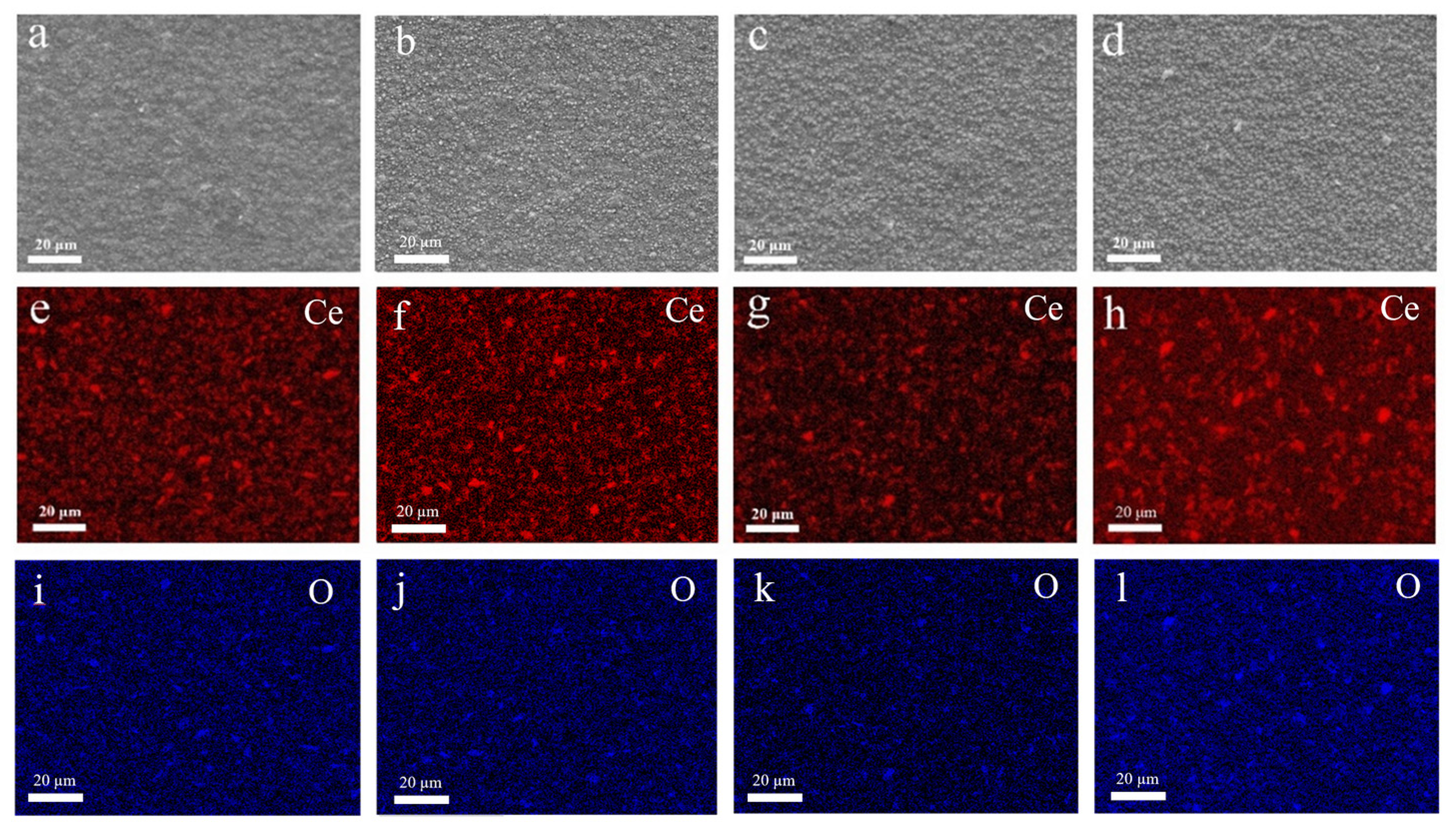 Coatings 16 00296 g003