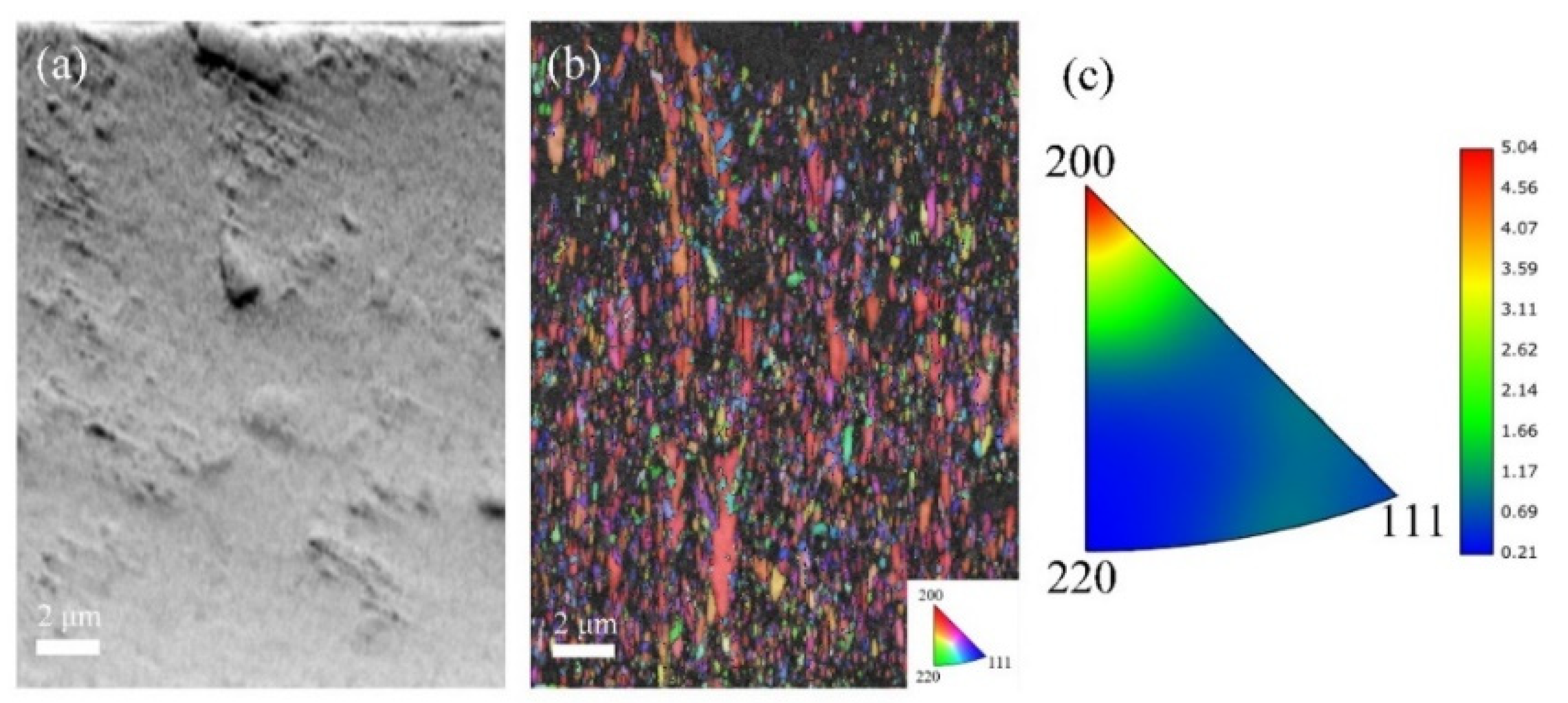 Coatings 16 00296 g006