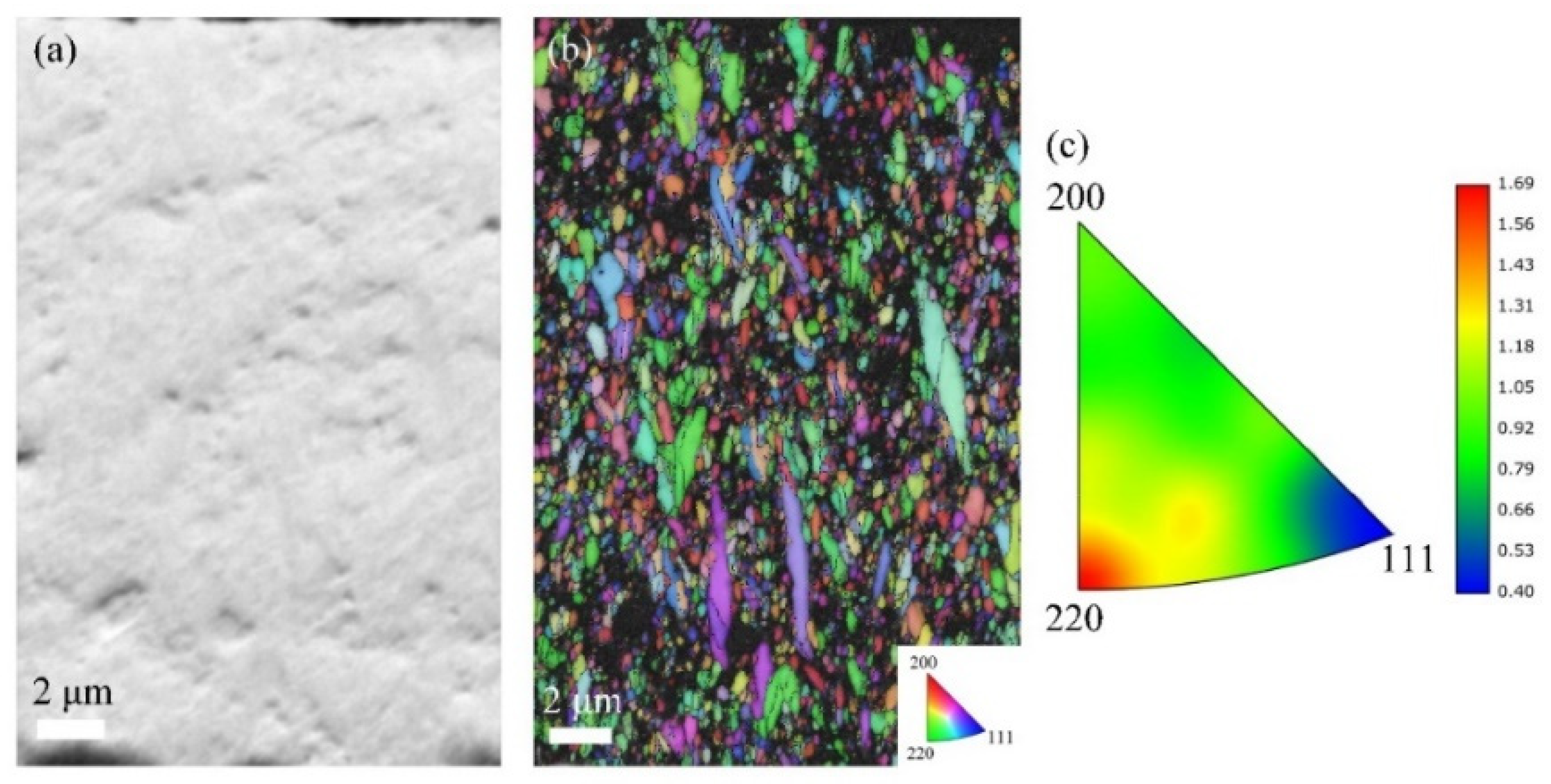 Coatings 16 00296 g007