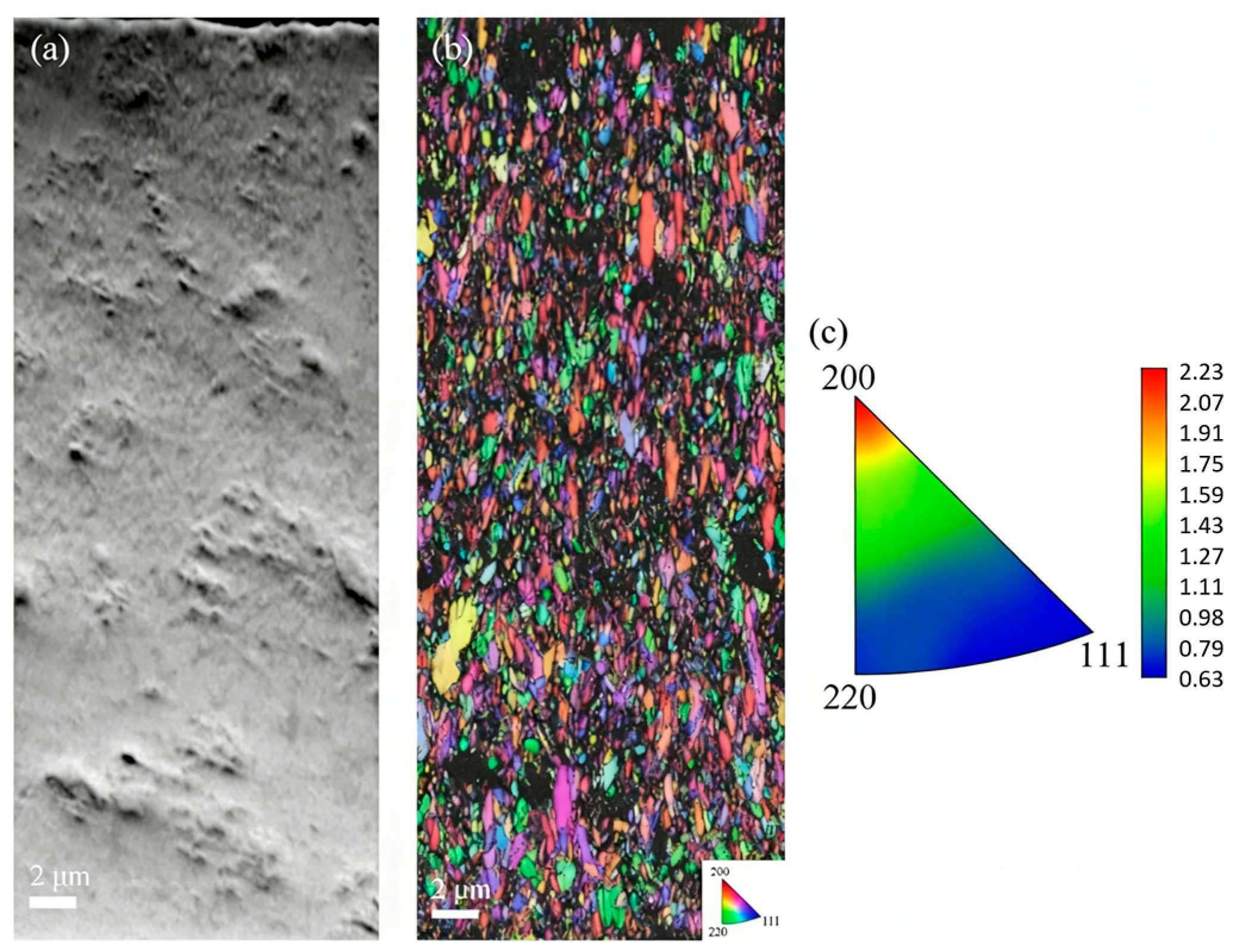 Coatings 16 00296 g008