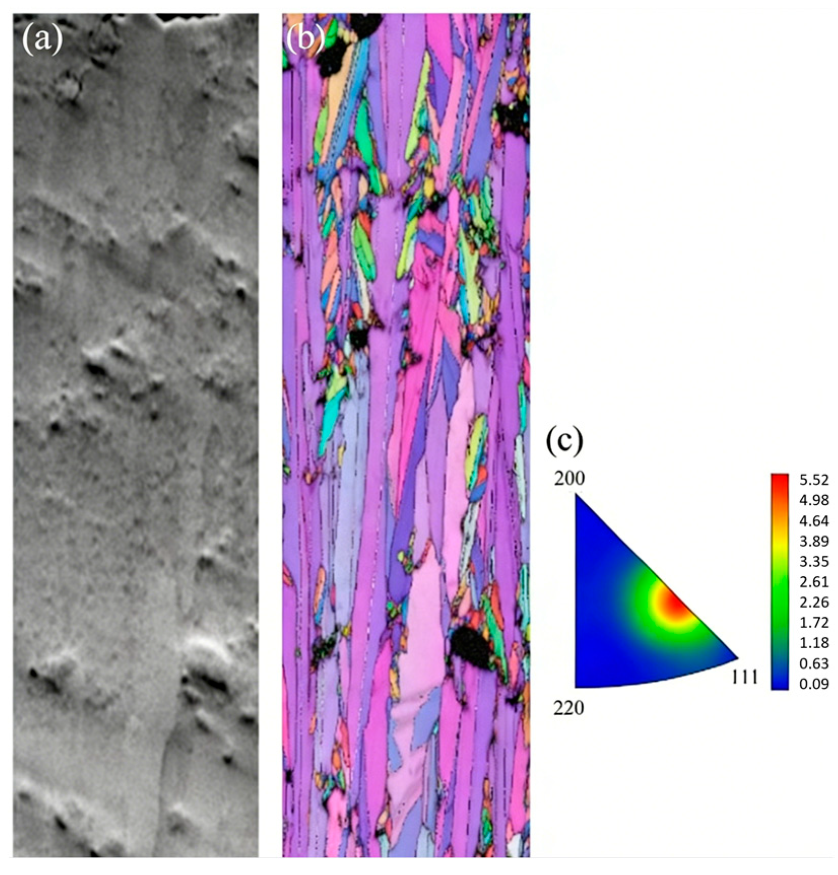 Coatings 16 00296 g009